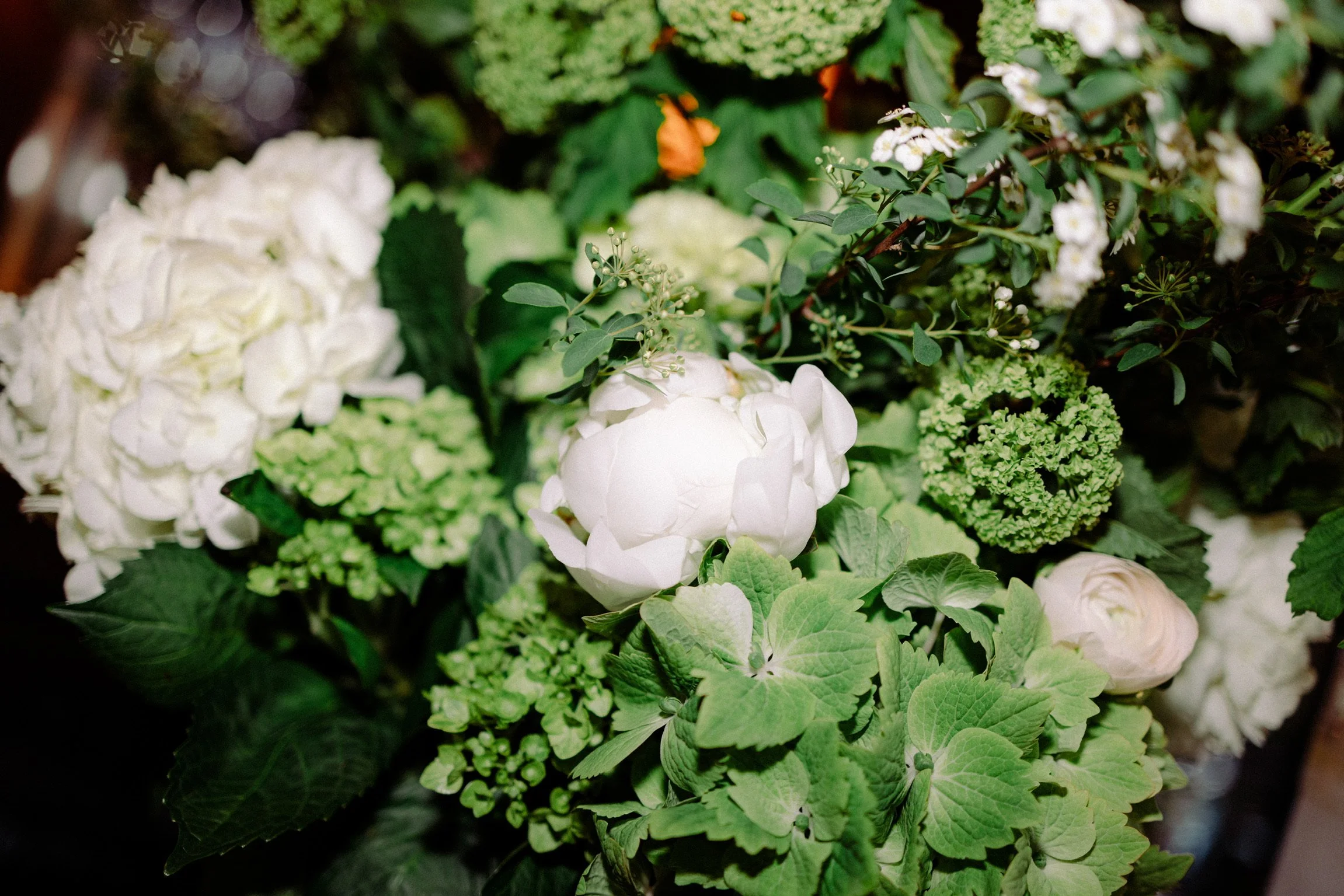 Close-up of various green and white flowers and lush greenery.