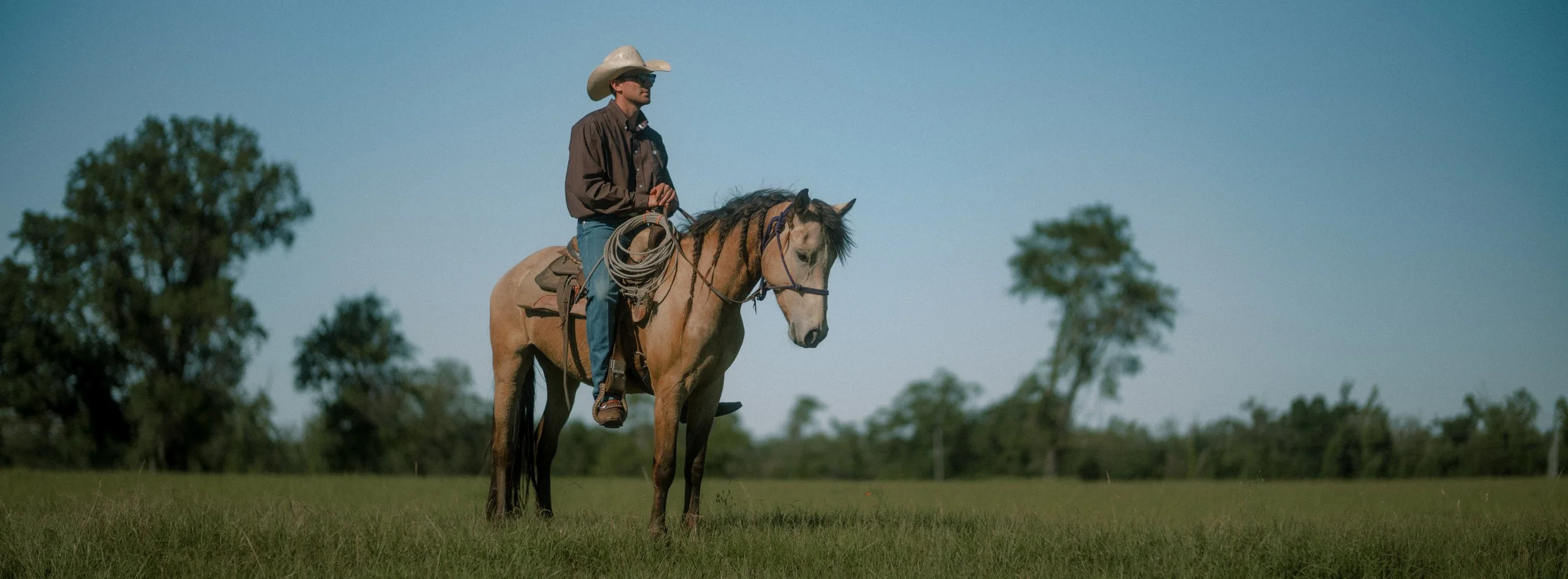 Cowboy sitting on a mustang horse in an open western landscape