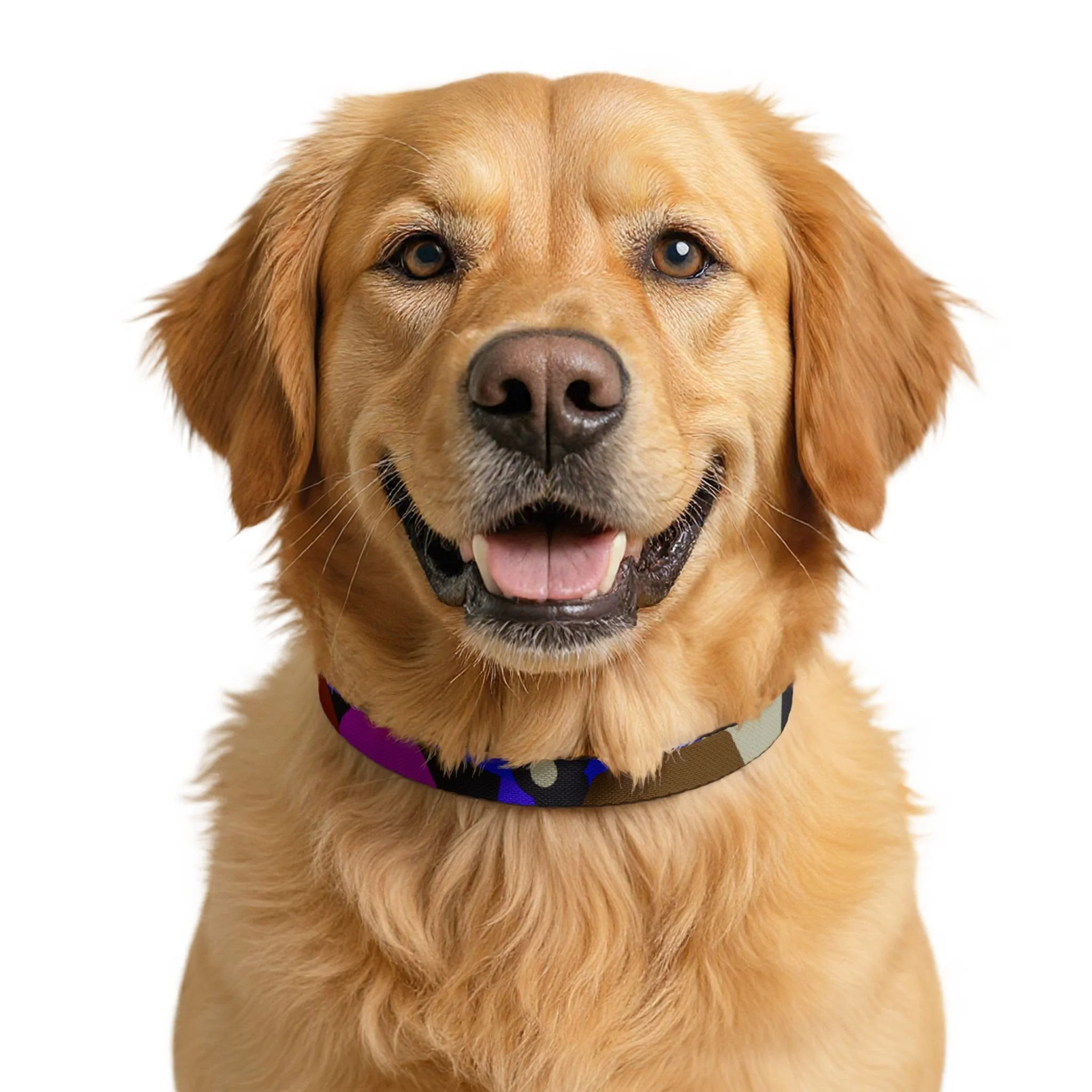 Daisey Clip-on Pet Collar
