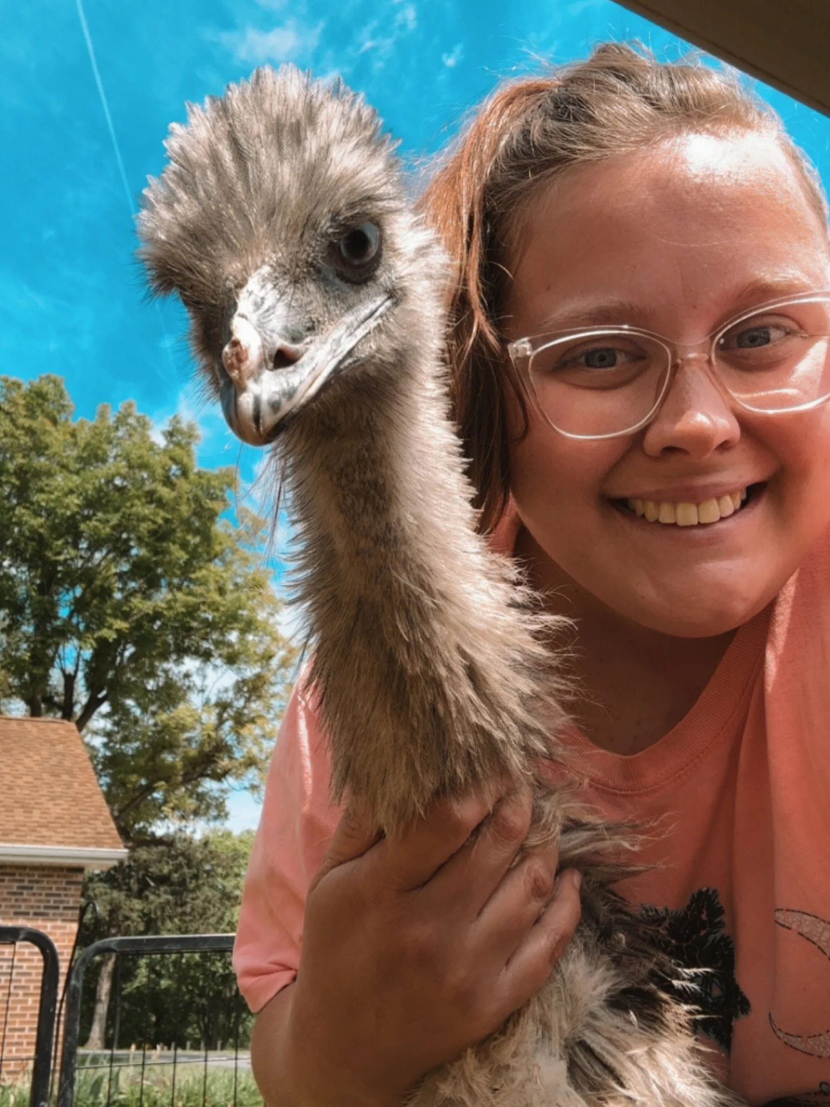 I never thought I&rsquo;d love emus as much as I do ❤️ Cornbread is quickly becoming a bestie and he loves neck scratches!