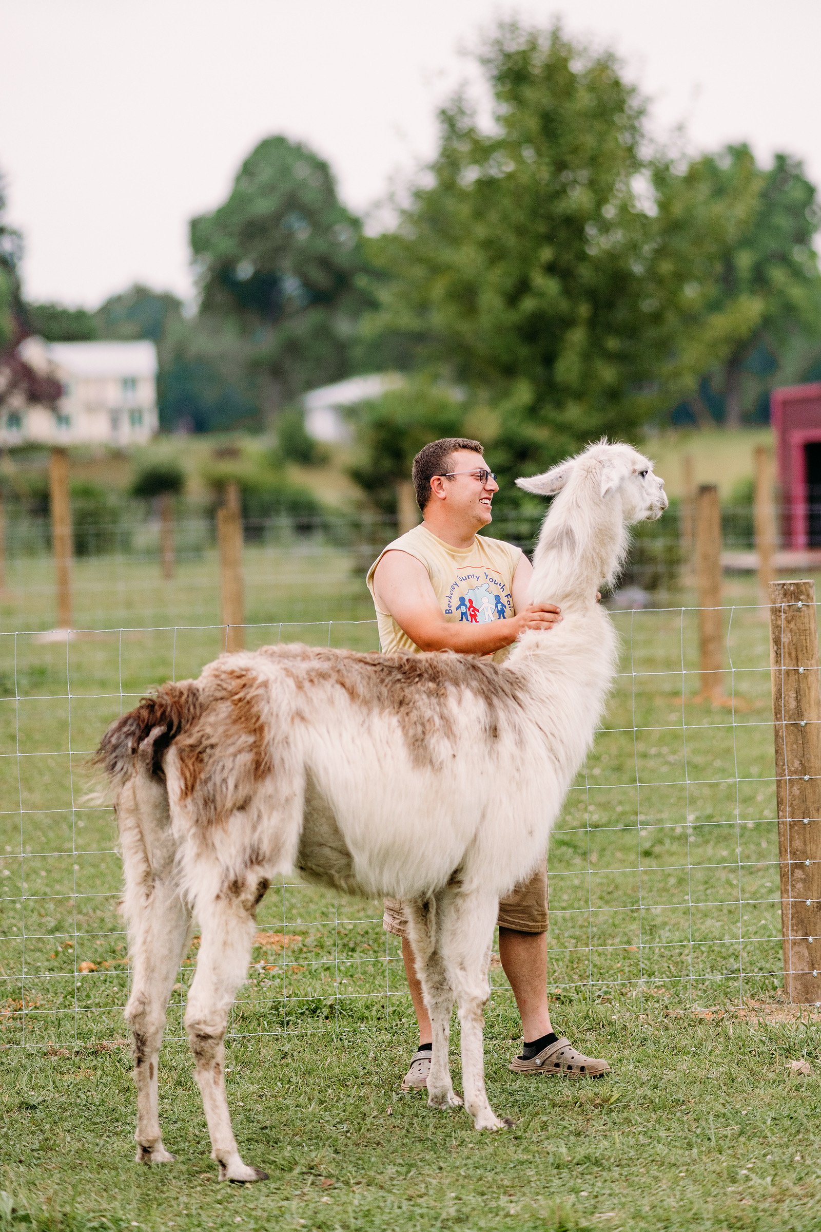 Guy petting a llama