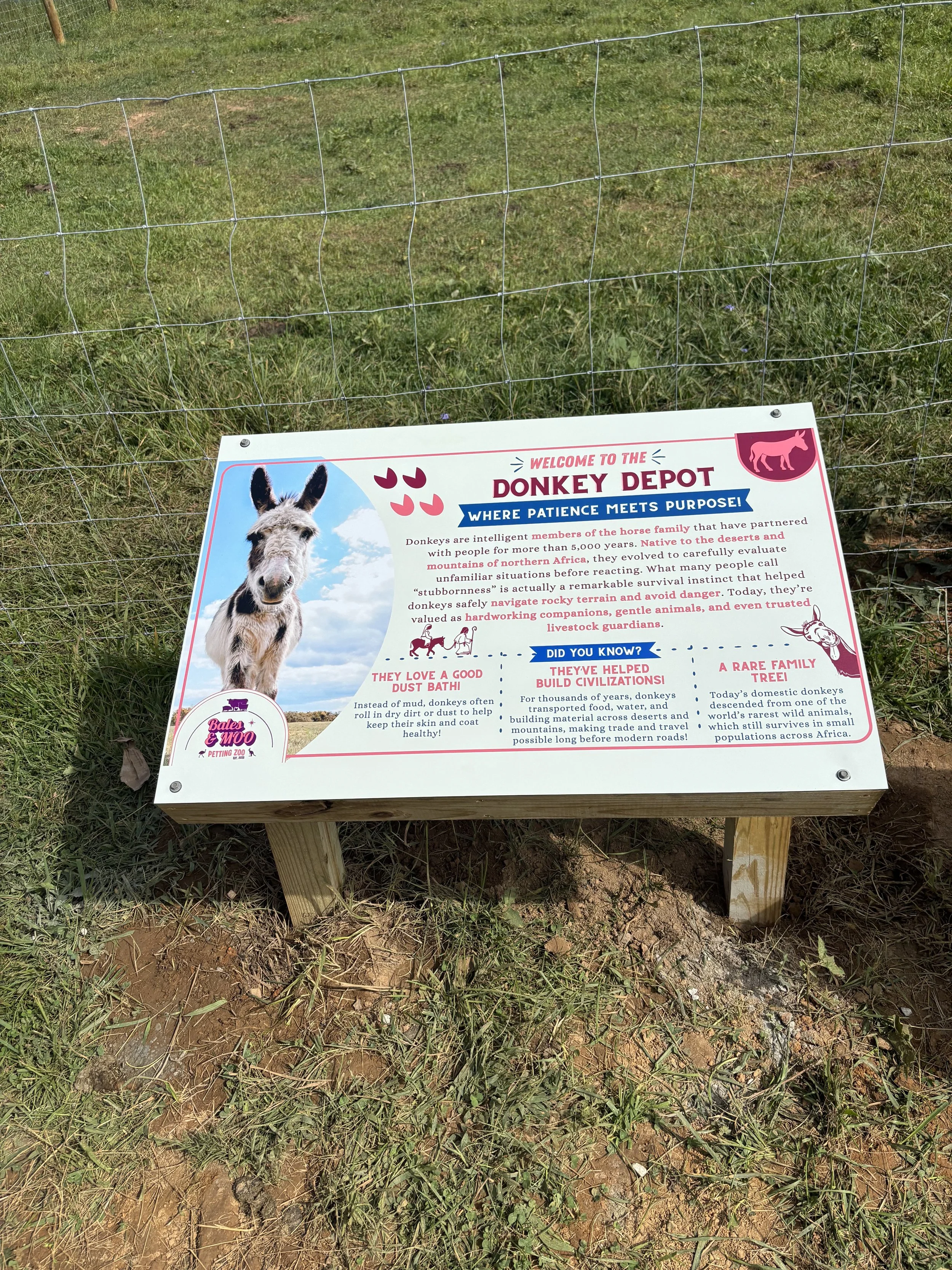 Informational signboard about donkeys at a petting zoo, featuring a picture of a donkey, with text explaining donkeys' intelligence, native habitat, and importance to civilization, mounted on a wooden stand surrounded by grass.