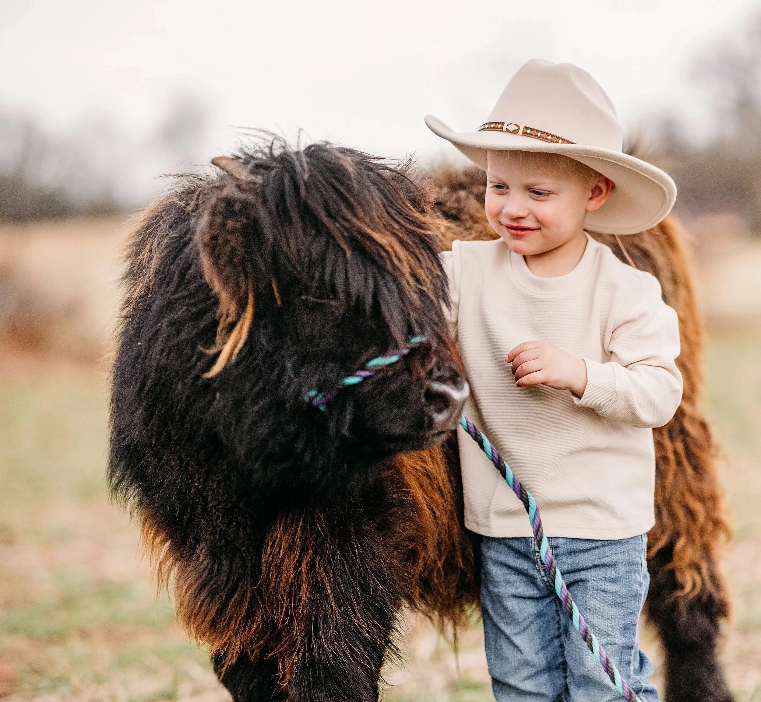 child with highland cow