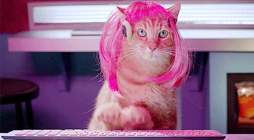 Cat with pink wig and headphones sitting in front of a computer keyboard. Typing away fast with fake paws taping the computer screen. Looks straight out of a spy movie for cats.