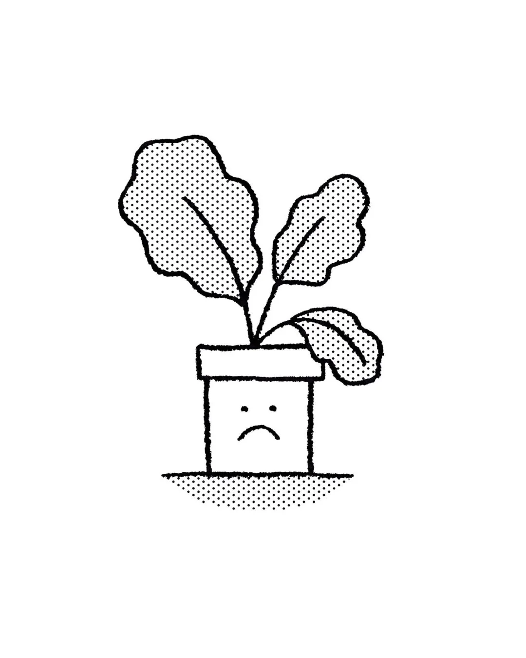 03.jpg