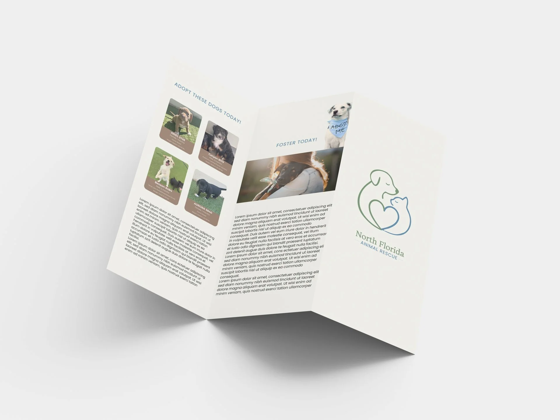 North Florida Animal Shelter | Rebrand