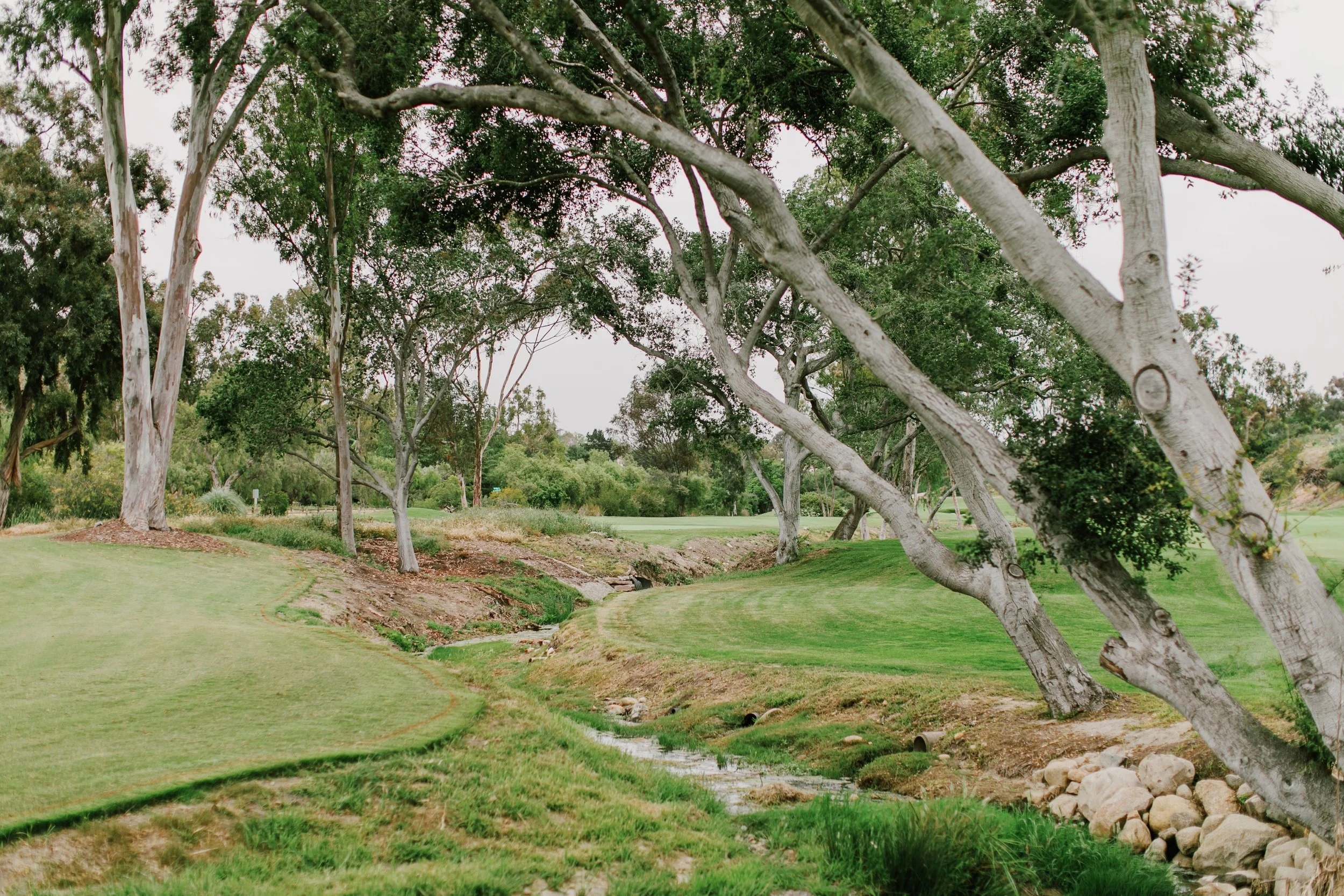 Rancho Santa Fe Golf Club Trees
