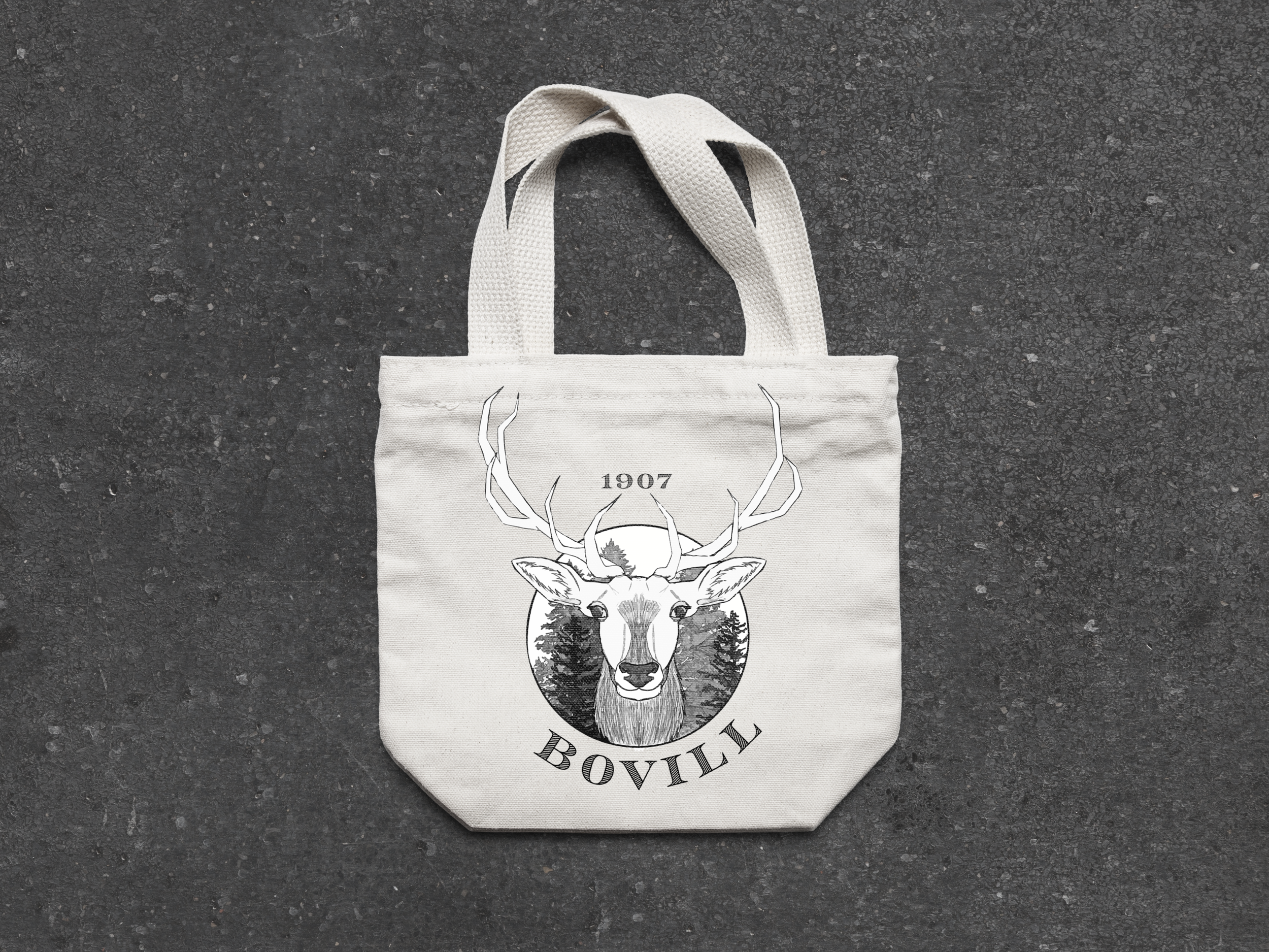 Bovill tote mockup.