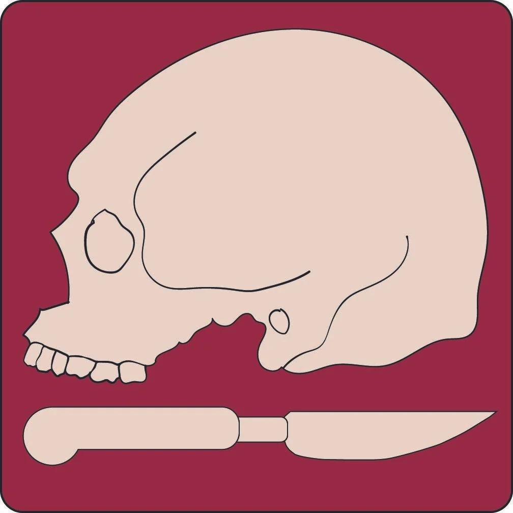 Icon for the app designed in Adobe Illustrator.