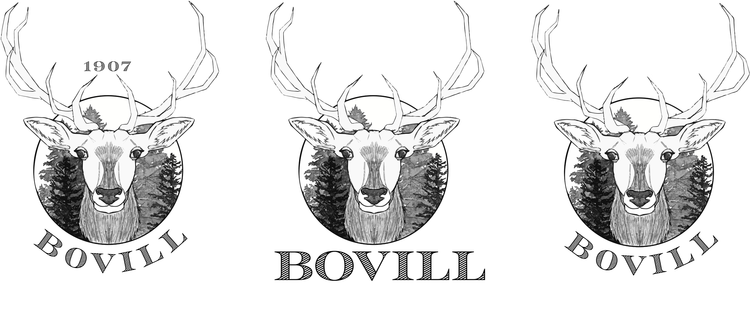Bovill Logo designs. Each design can be used for different deliverables. Such as signs, merchandise, and letter heads. 