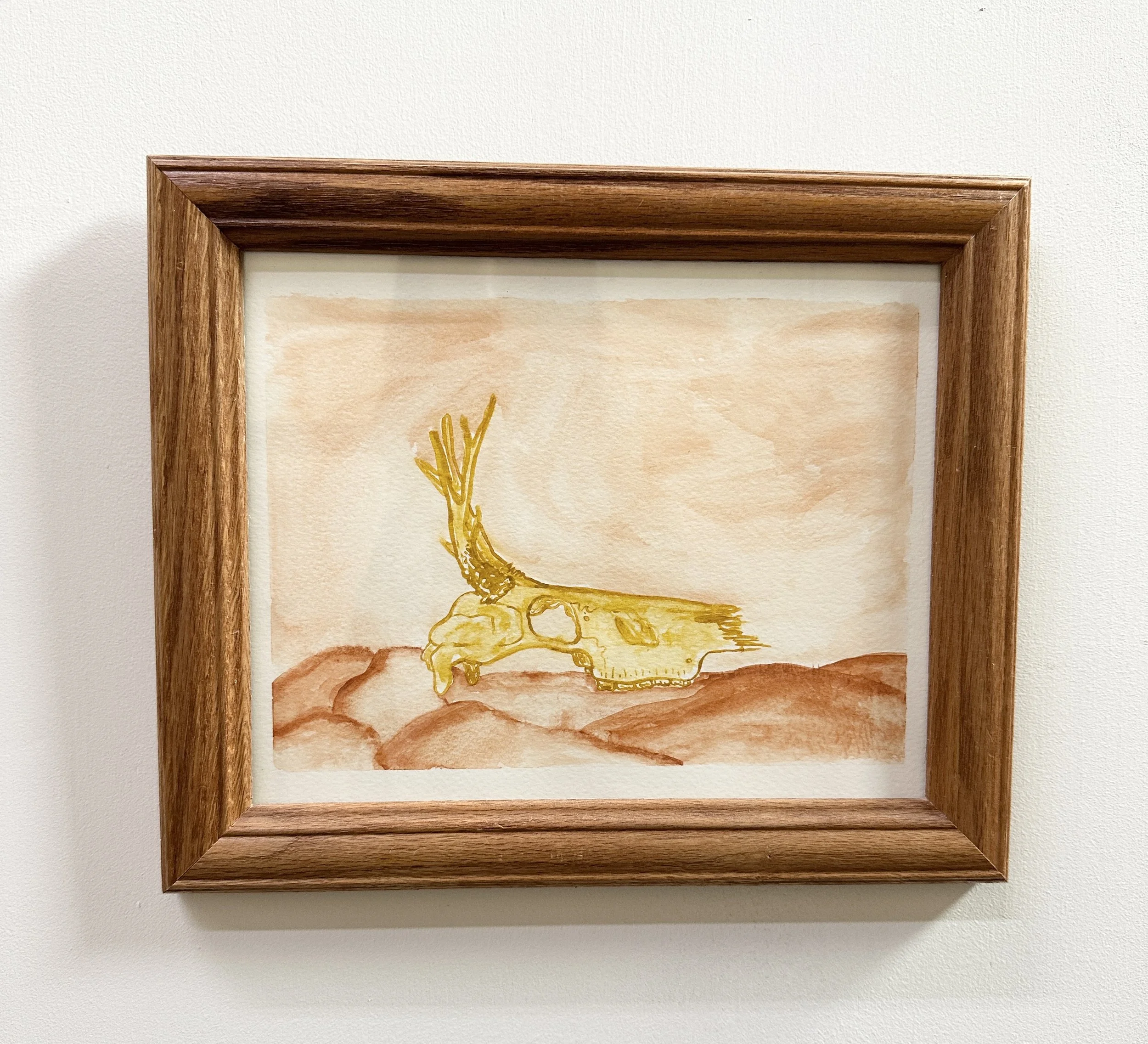 Framed Watercolor Deer Skull