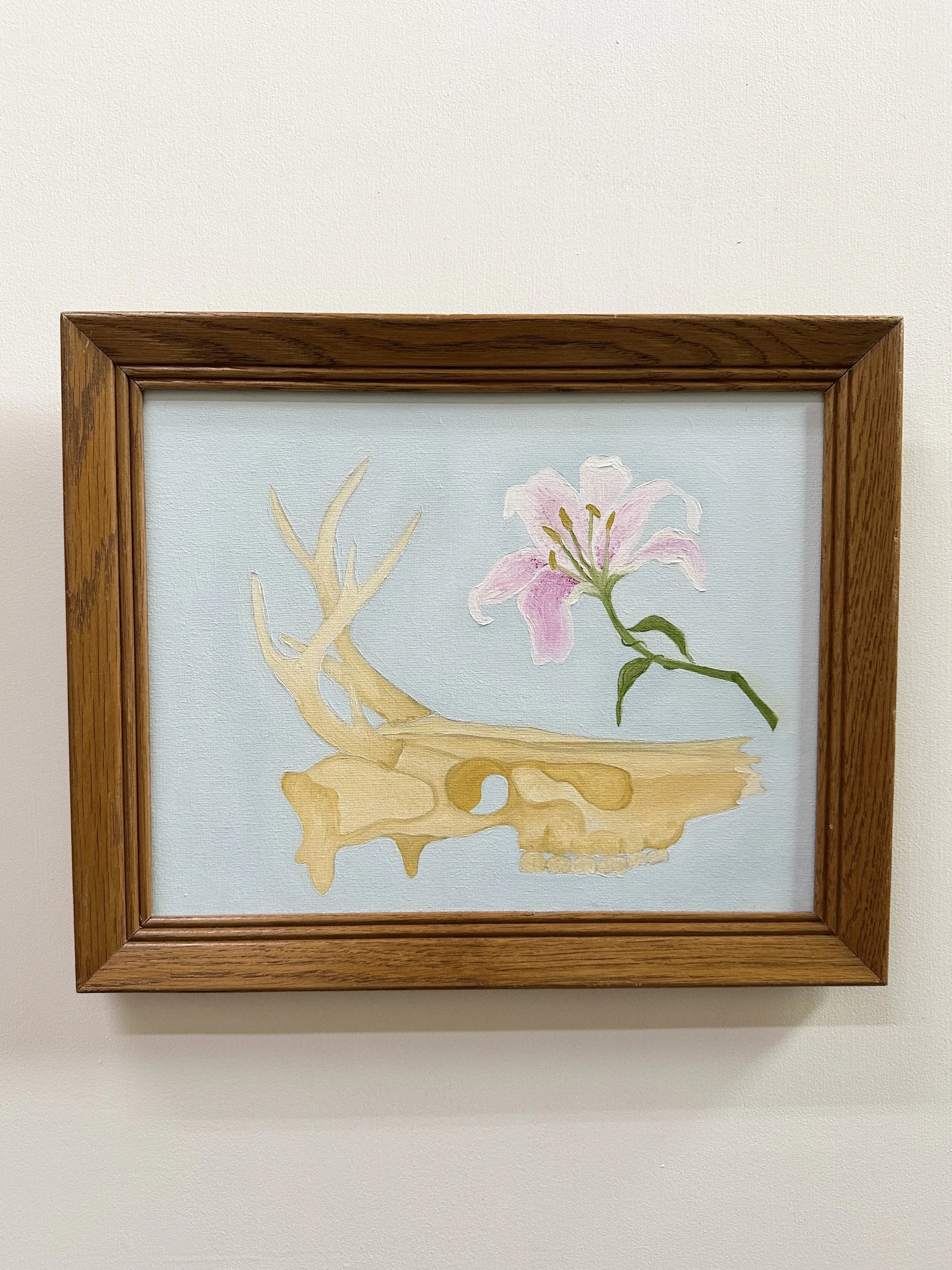 Deer Skull and Stargazer Lily