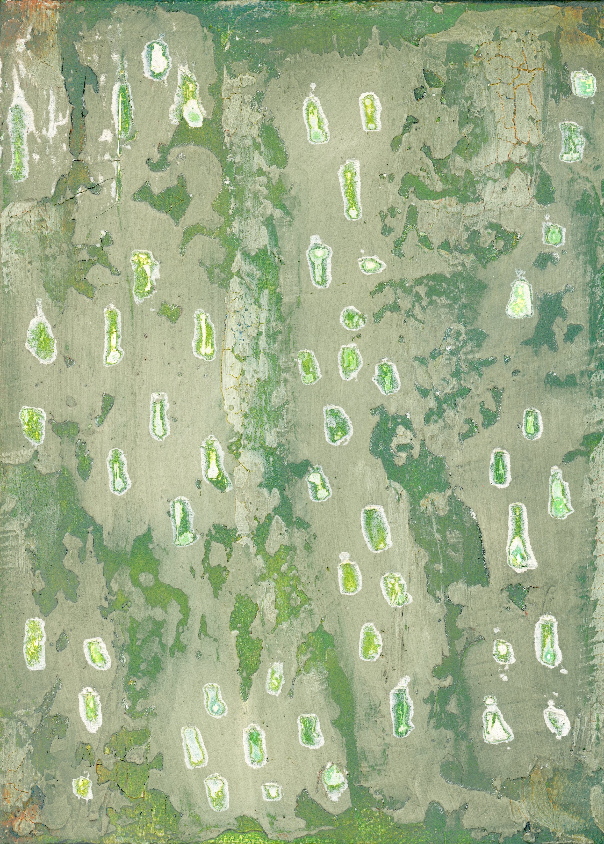 Lily Pads