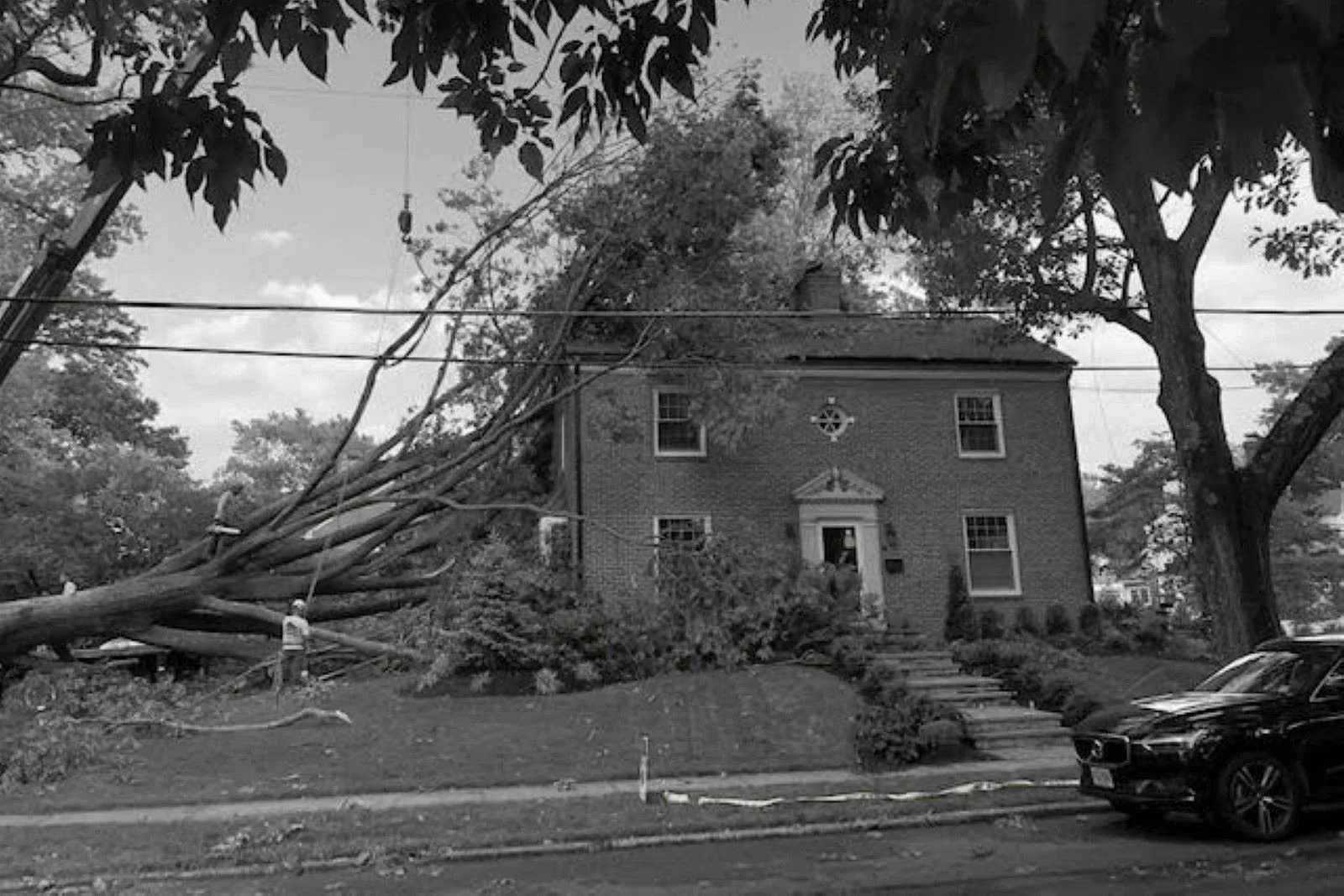 Before photo of a tree-damaged center hall colonial home in Haddonfield, NJ showing a fallen tree across the front yard and roof before renovation.