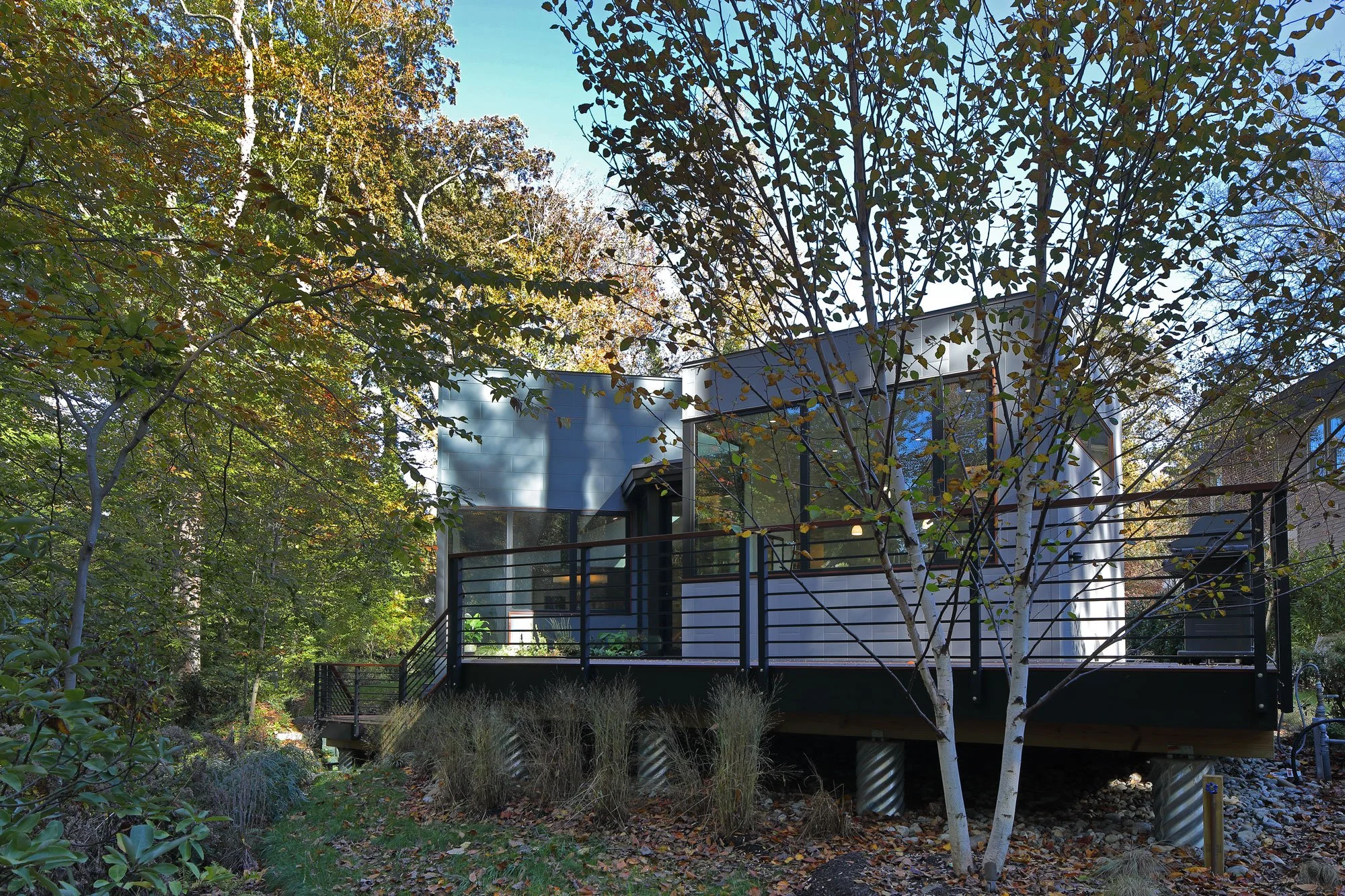 Rear deck of Hadro House in Haddonfield NJ overlooking a stream bank planted with native species including ferns, flat roofs draining to a dry well to protect the slope from erosion