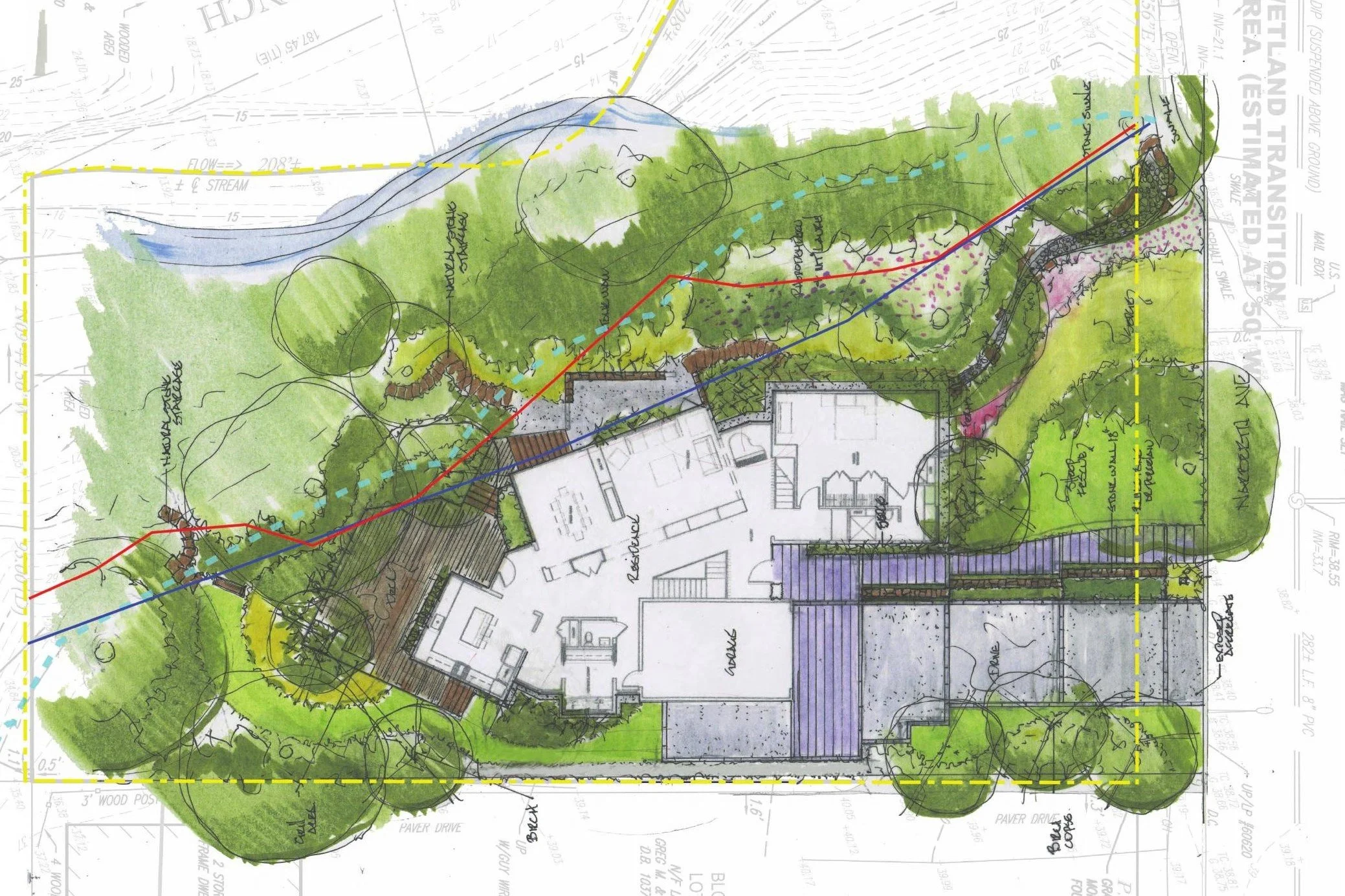 Hand-rendered concept site plan for Hadro House in Haddonfield NJ, February 2020 — discrete volumes joined by a circulation ligament, deck and native landscape stepping toward the stream