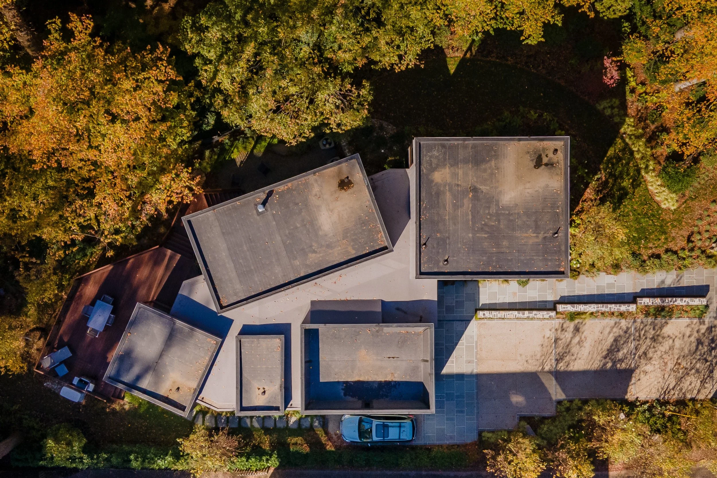 Top-down aerial drone photo of Hadro House in Haddonfield NJ — flat-roofed volumes arranged across the wooded site like bones in plan, matching the original concept site plan