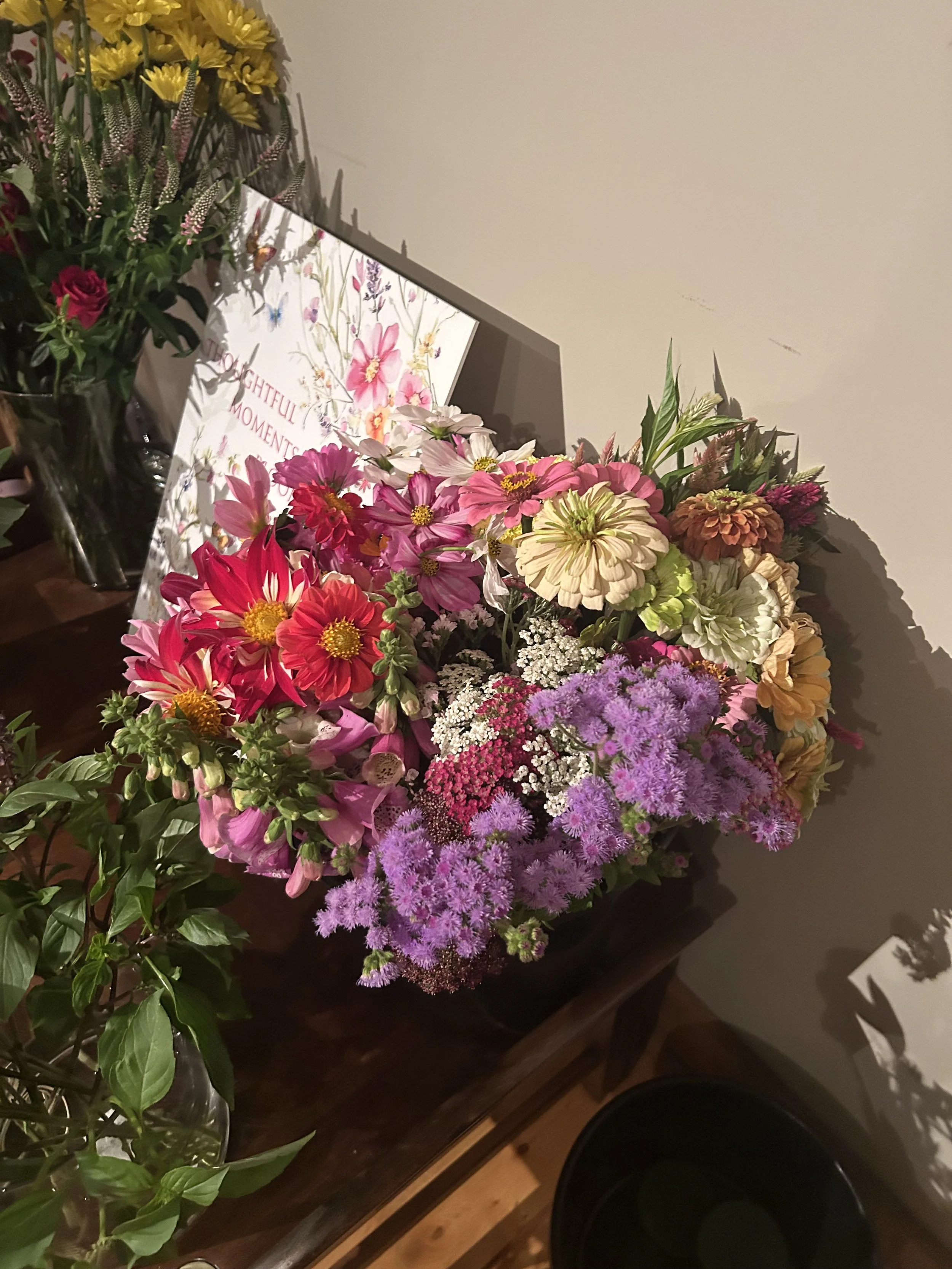 IMG_9048.jpeg