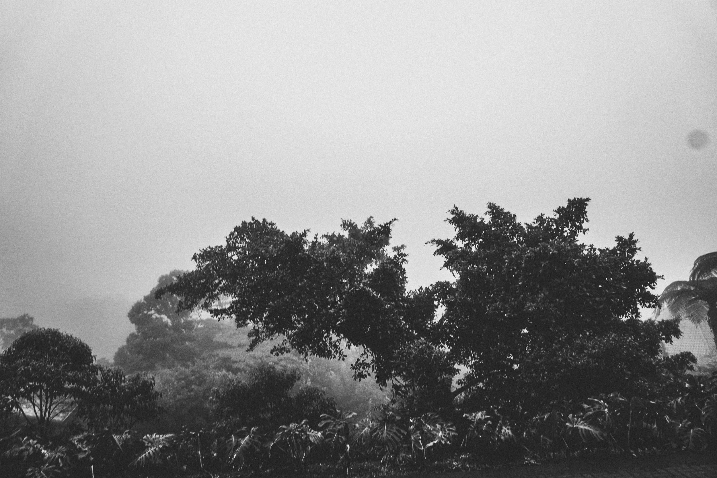 CR214.jpg