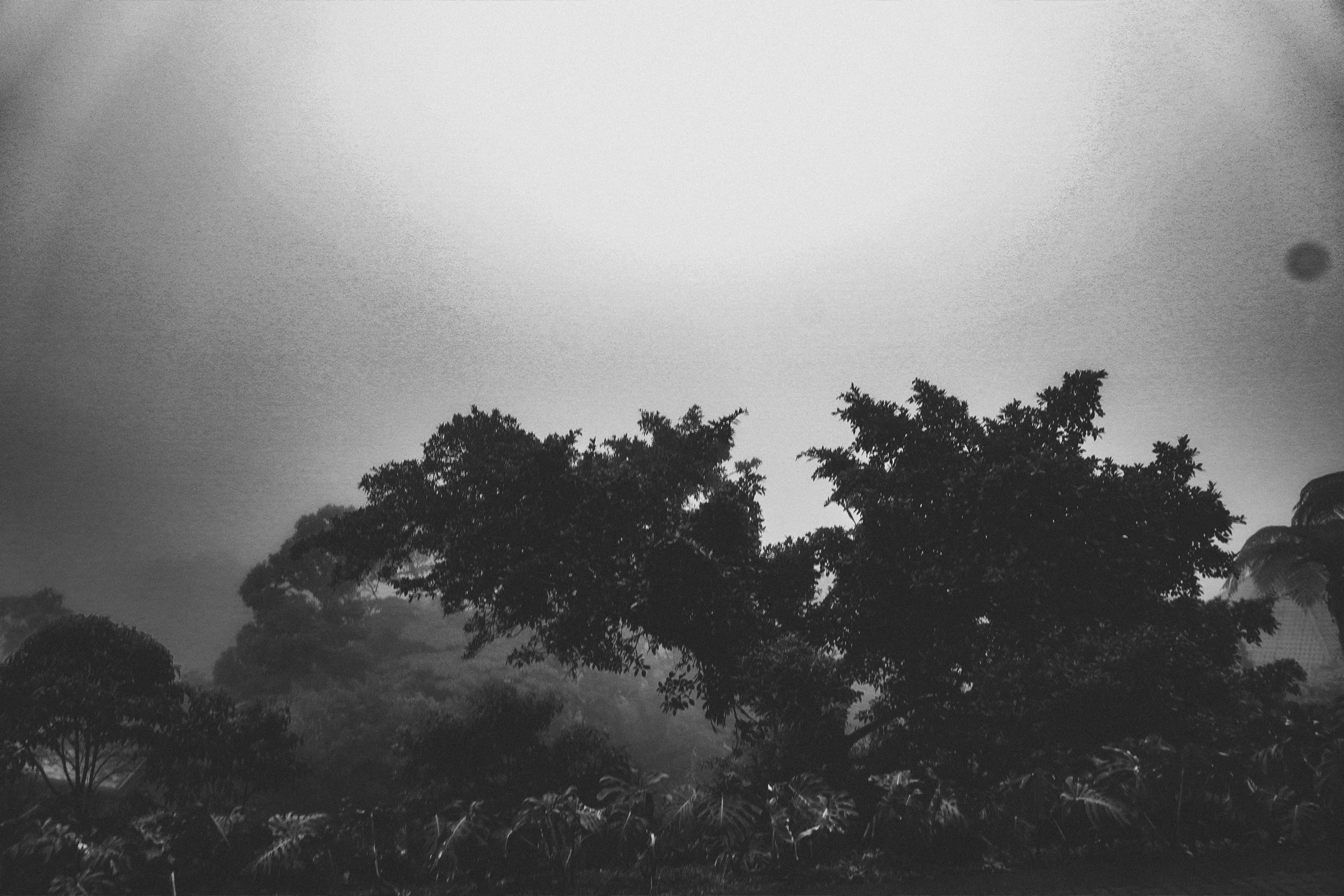 CR215.jpg