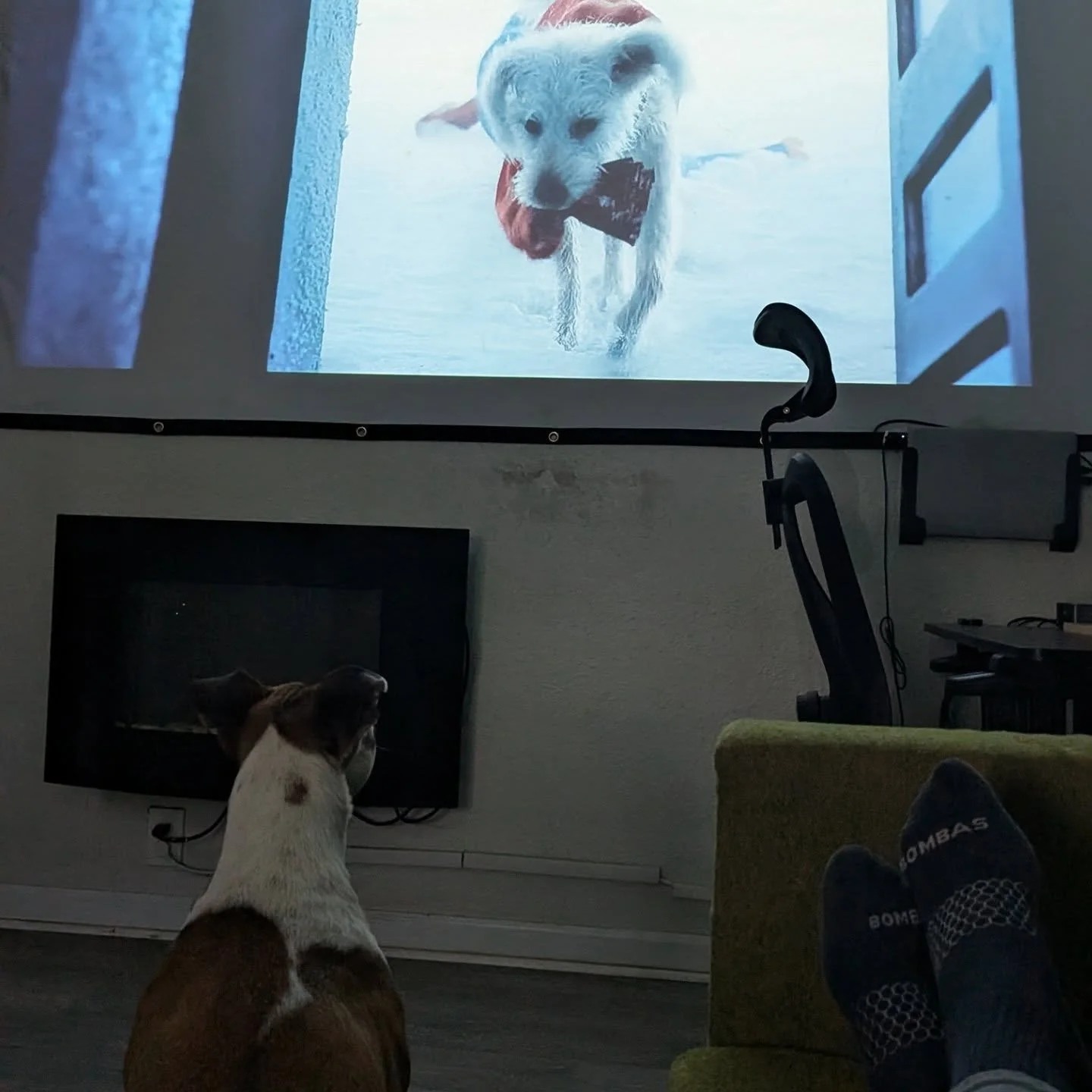 Betty wants to see Krypto in the new Superman movie.