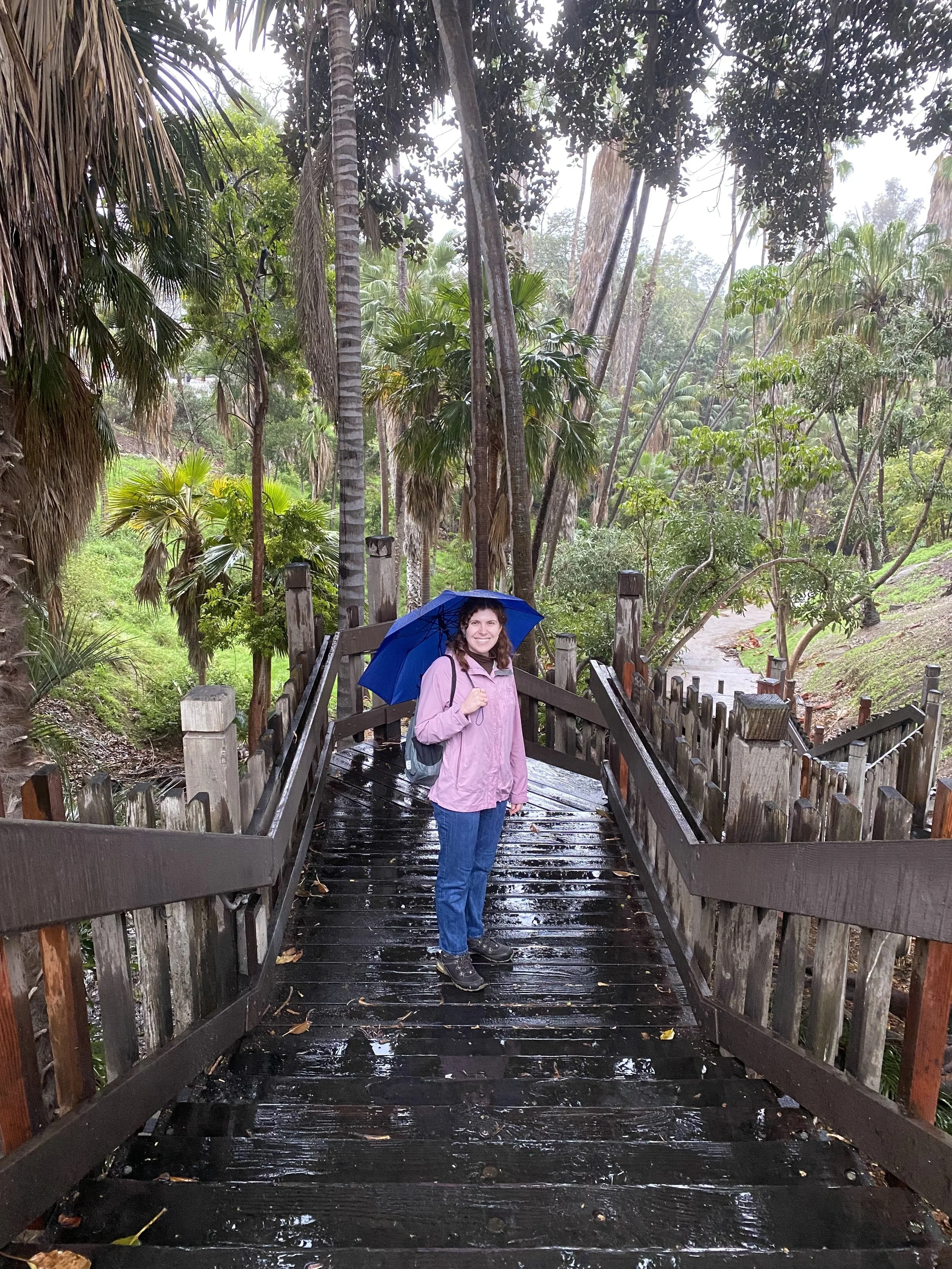 Woman holding a blue umbrella on a rain-soaked wooden footbridge in a lush tropical palm forest