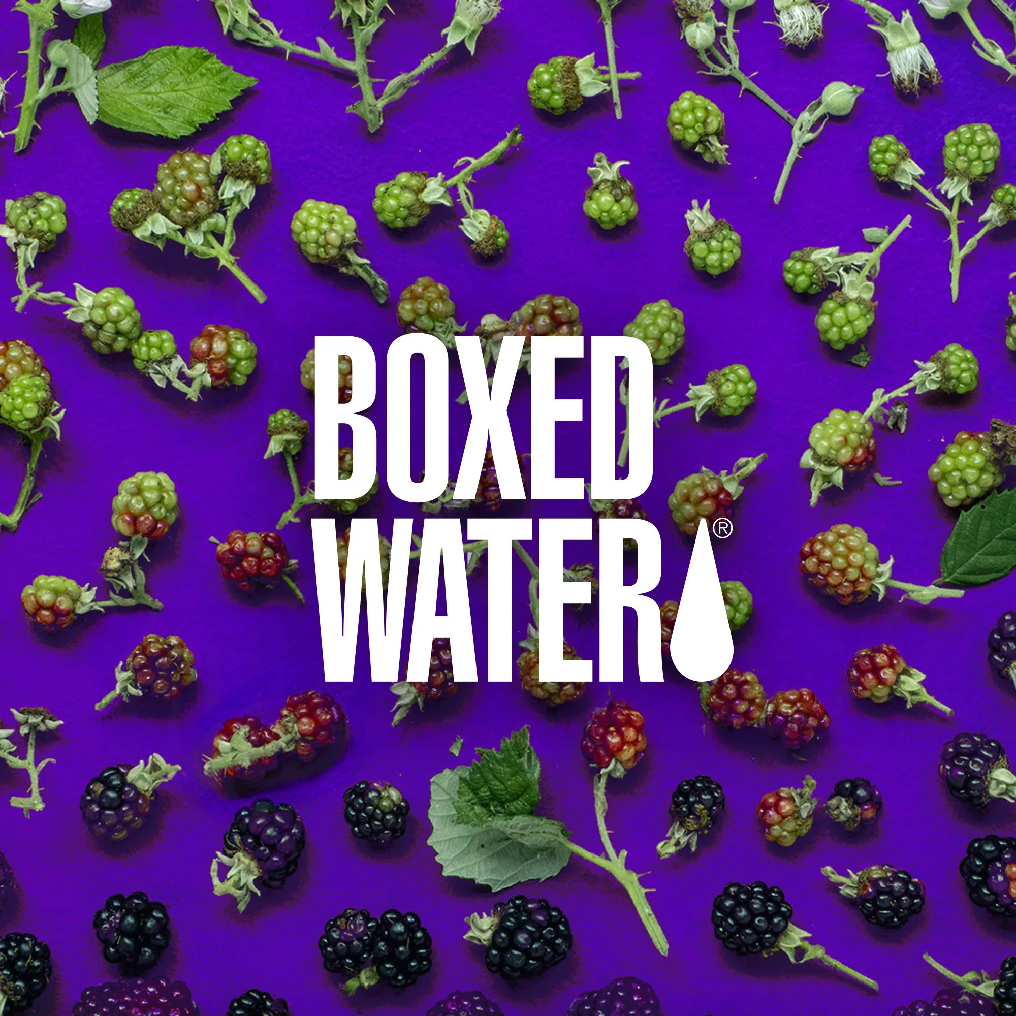 Boxed Water Emails