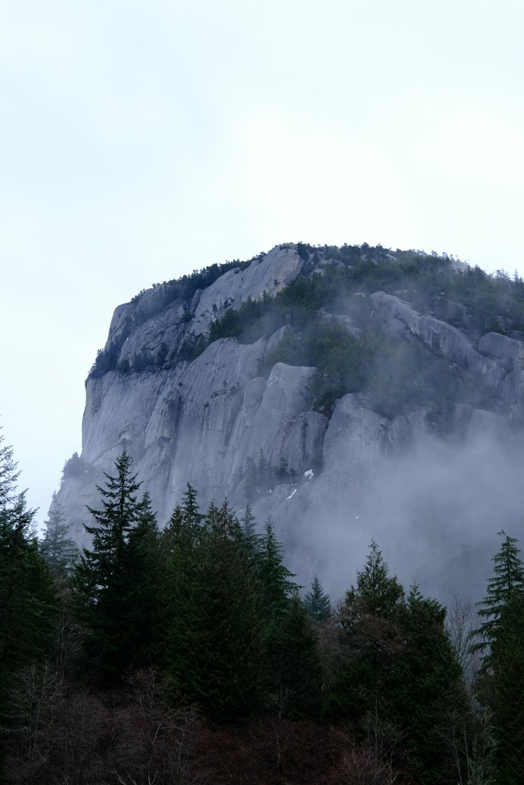 A mountain with a sheer granite face partially covered with trees and fog, under a cloudy sky.