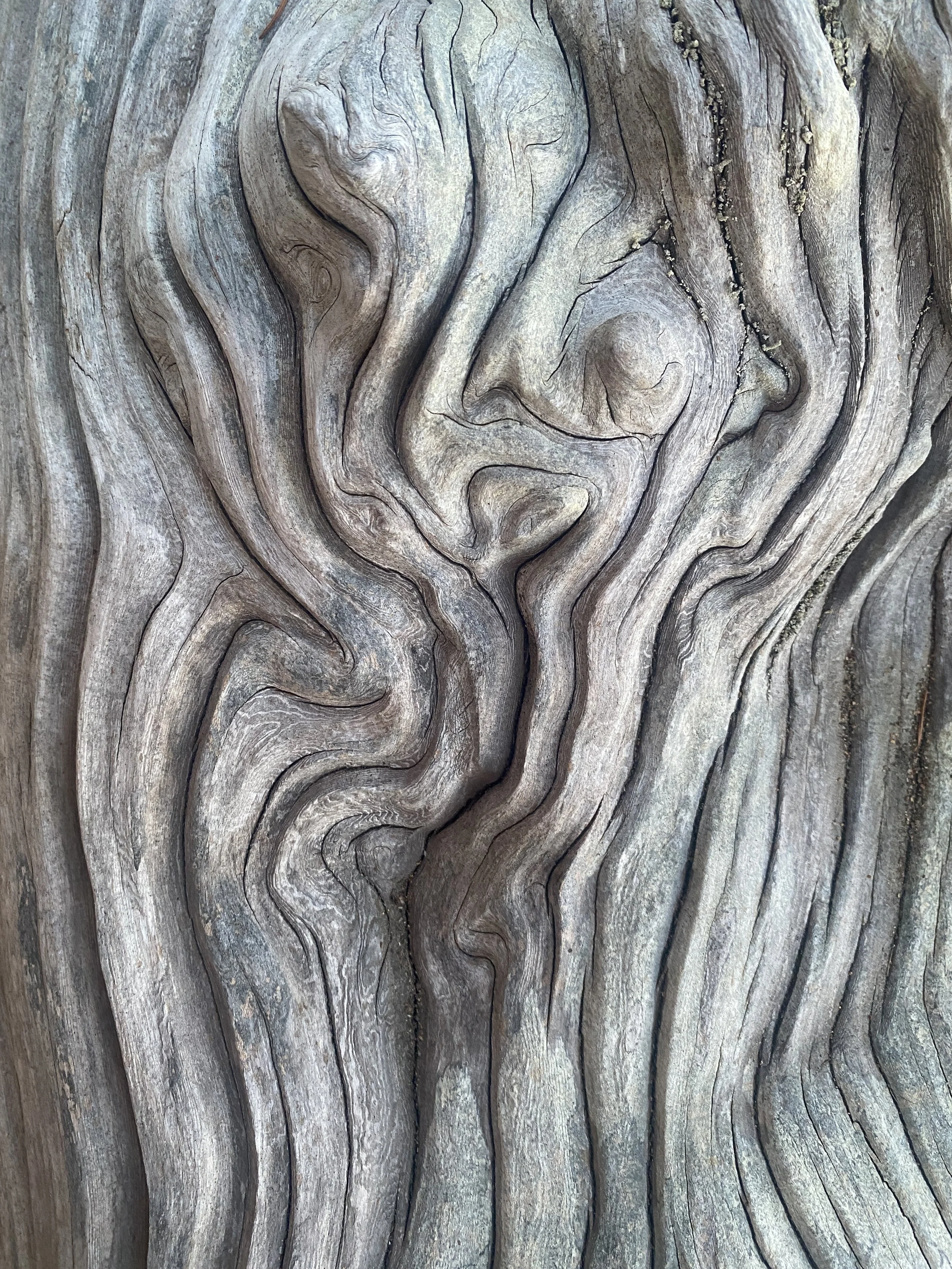 Close-up of textured, weathered wood with swirling grain patterns and knots.