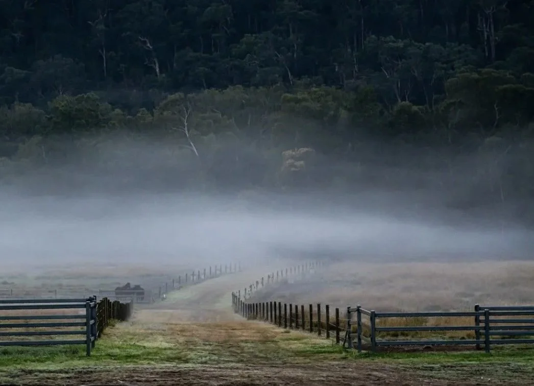 A fenced pathway leading to a misty, fog-covered field with a wooded hillside in the background.