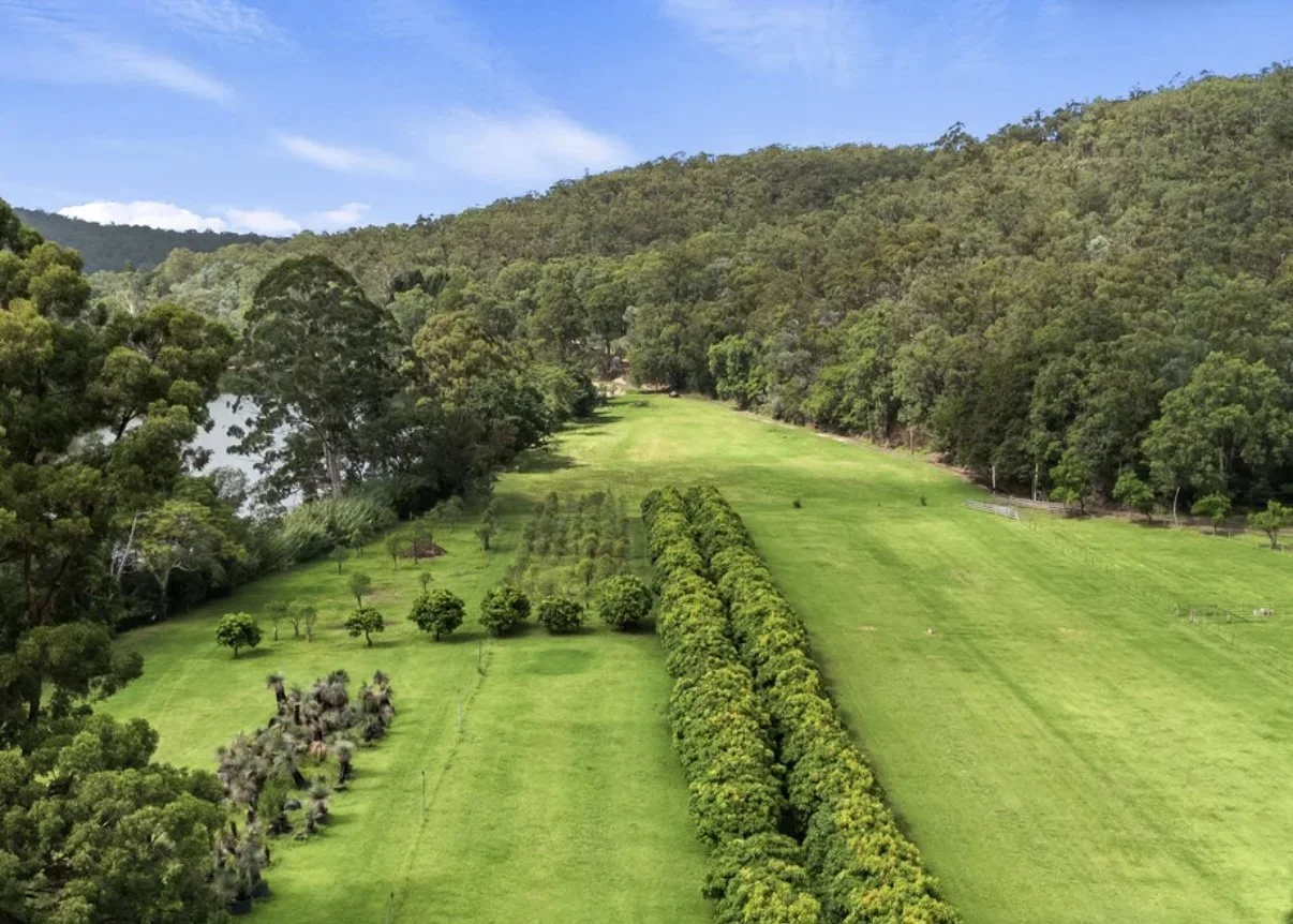 A lush green landscape with a well-maintained lawn, trees, and hills under a bright blue sky with some clouds.