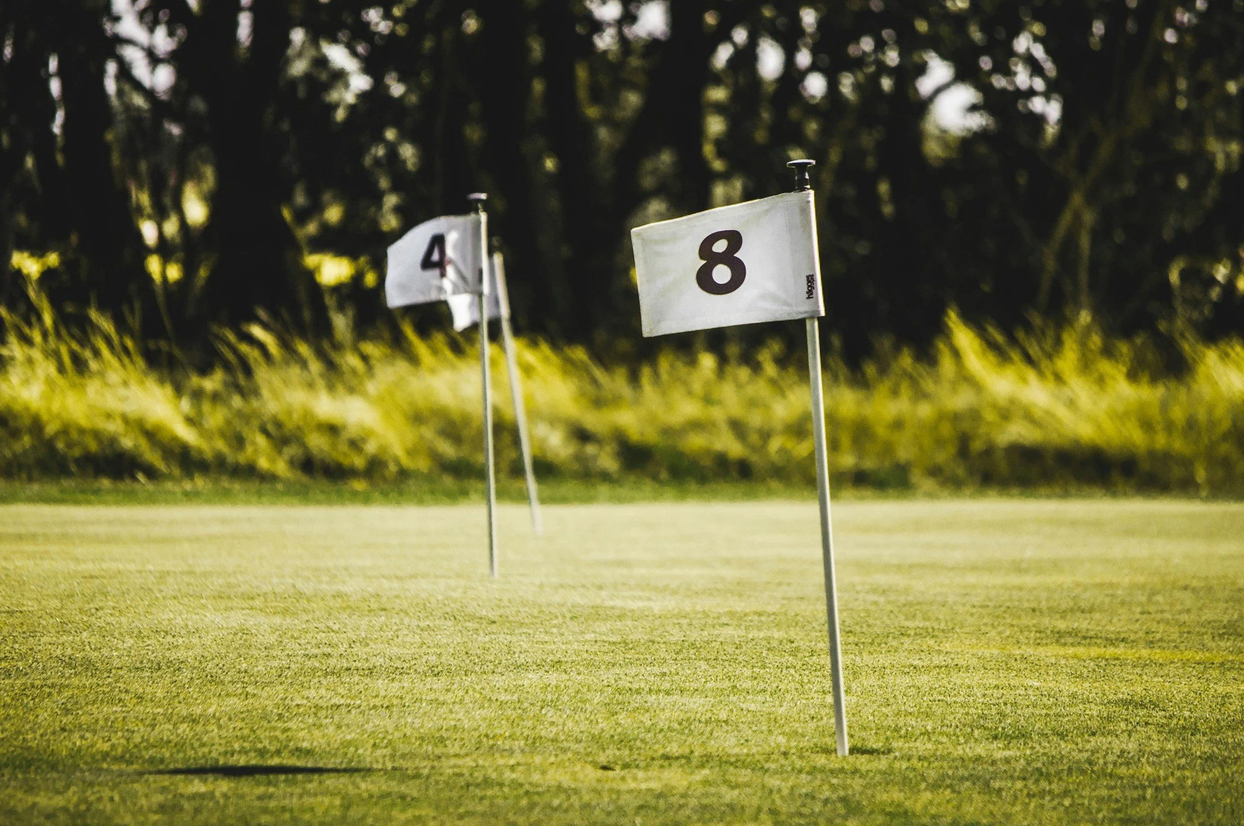 Close-up of two golf flags with the numbers 4 and 8 on a green golf course, surrounded by trees in the background.