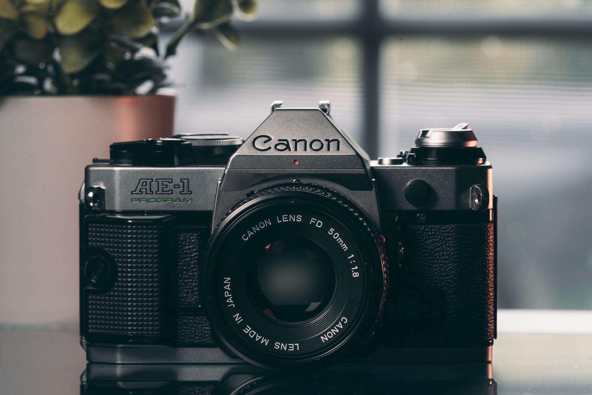 Close-up of a vintage Canon AE-1 Program film camera with a lens attached, placed on a reflective surface with a blurred plant in the background.