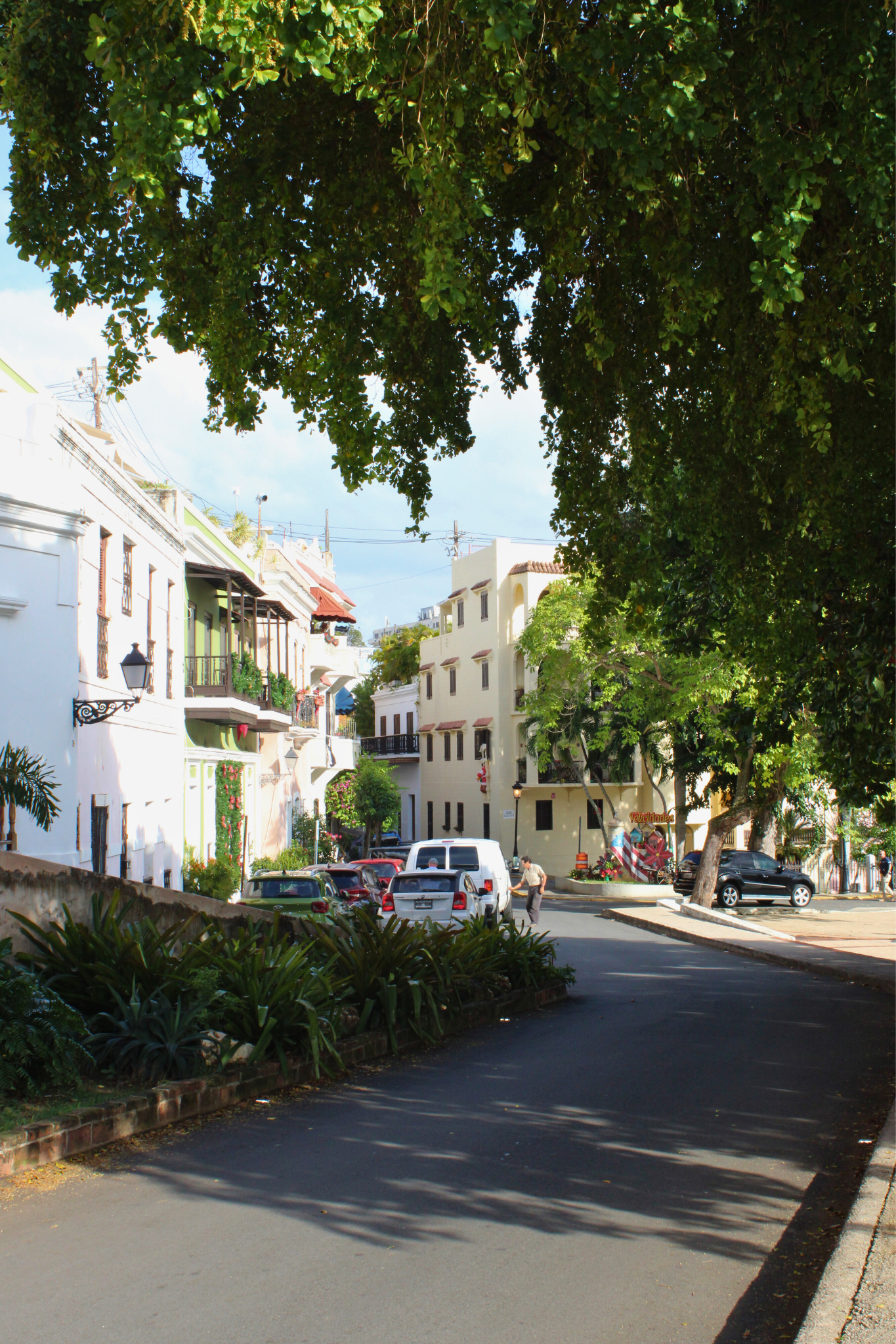 A city street scene with white and pastel-colored buildings, parked cars, trees providing shade, and people walking.