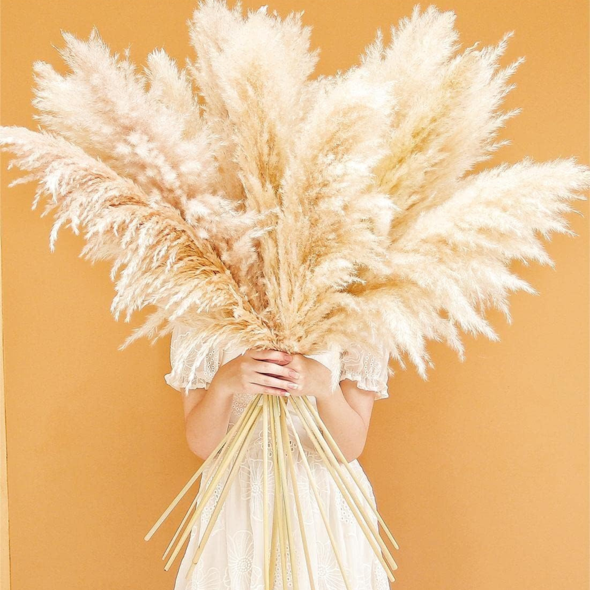 40" Pampas Grass Stems