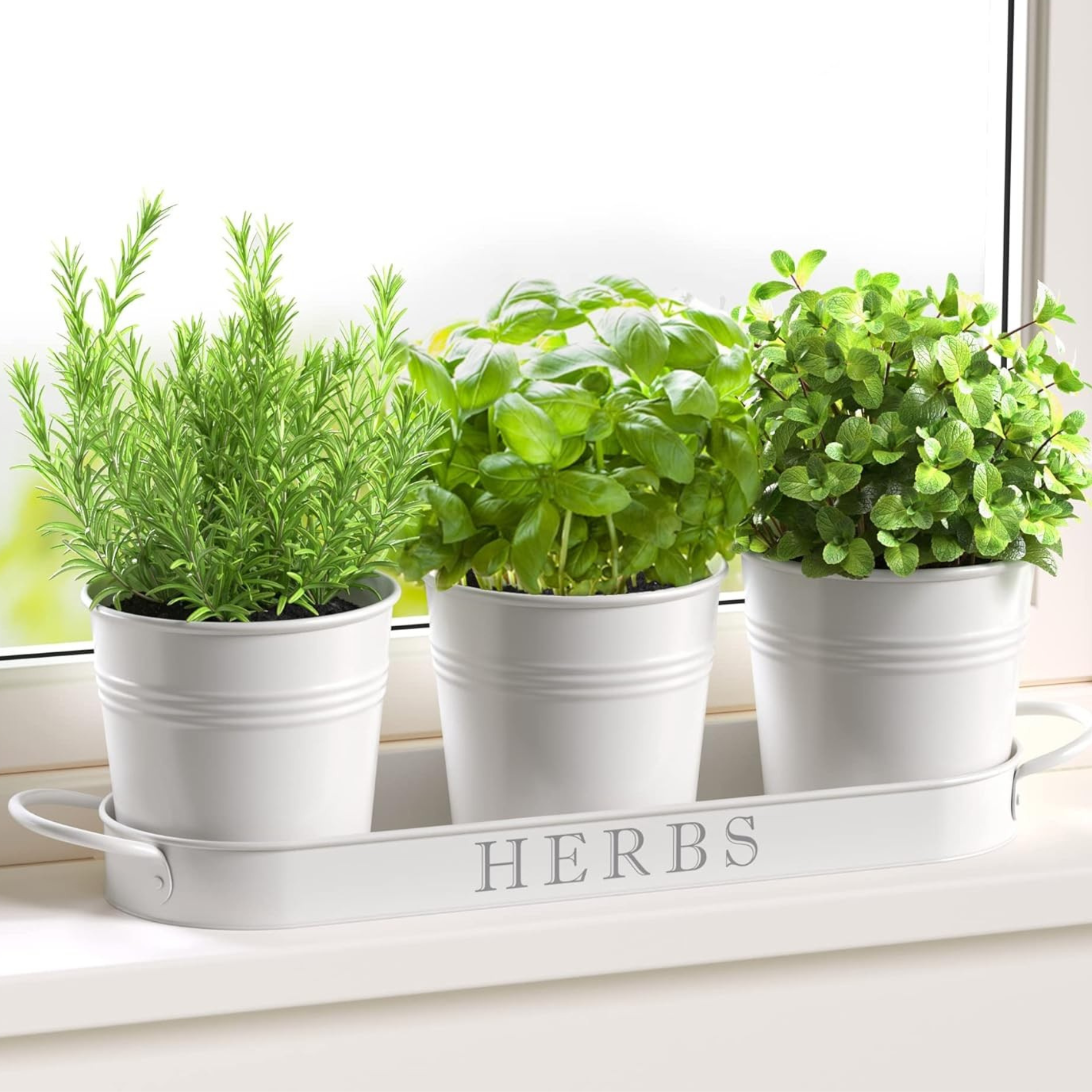 Barnyard Designs Herb Garden Planter ~$17