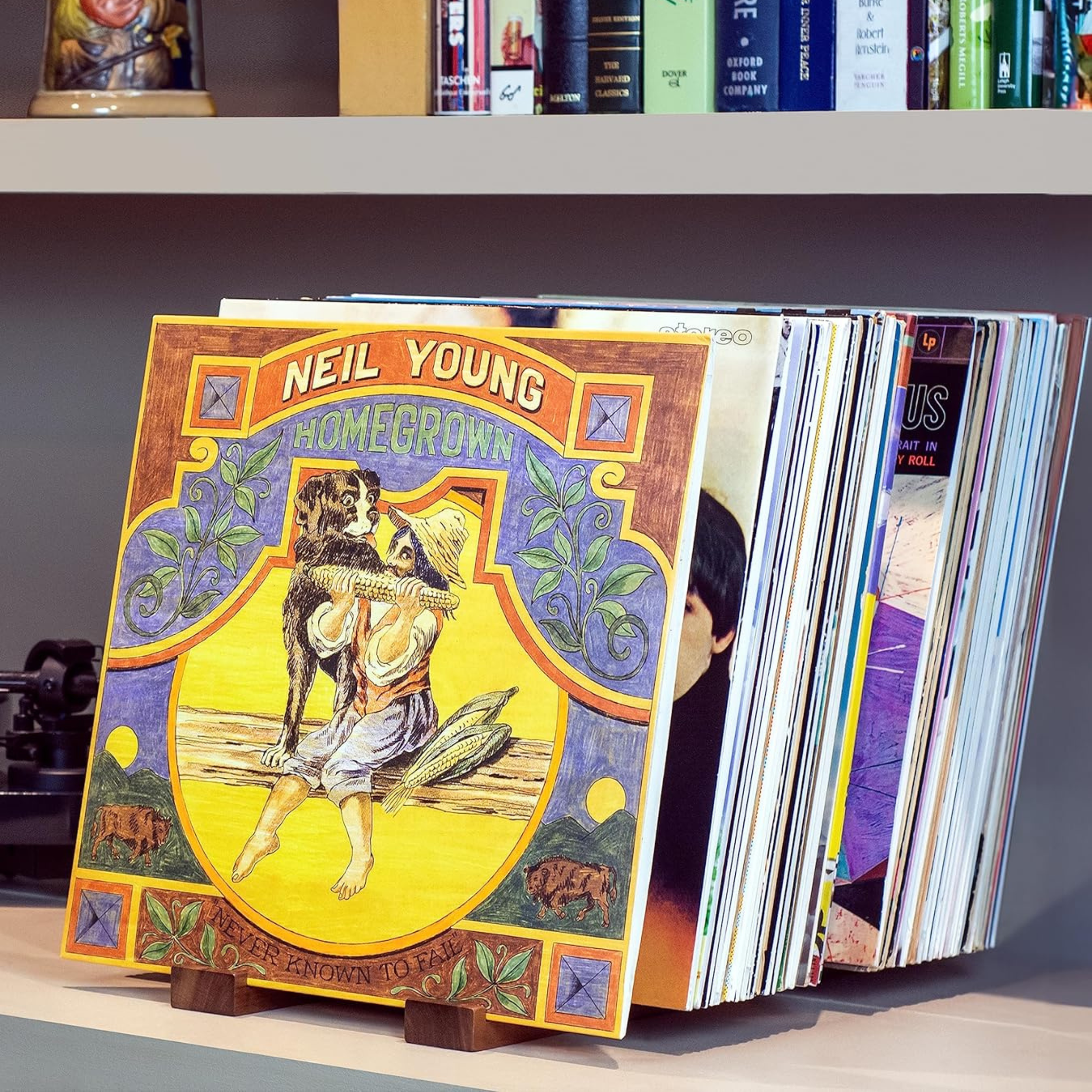 Vinyl Record Storage