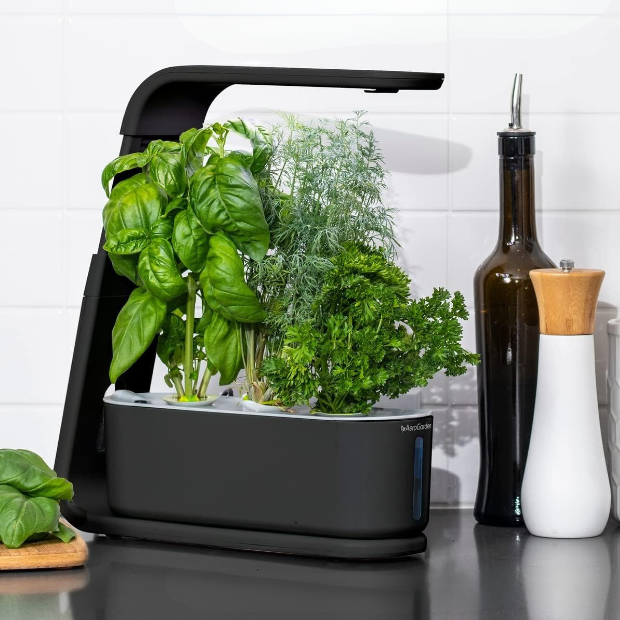 Indoor Garden