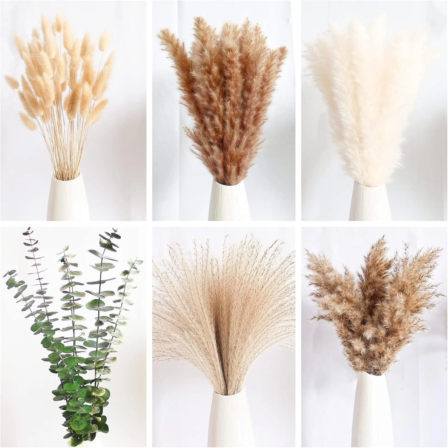 Dried Pampas Stems ~$13
