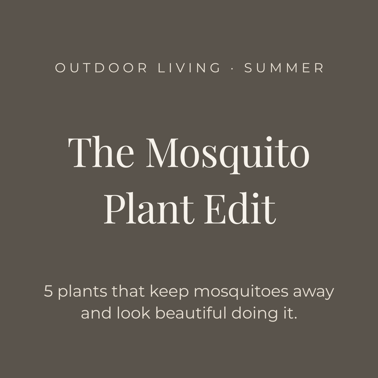 mosquito-plant-repel-the-alcove-edit.png