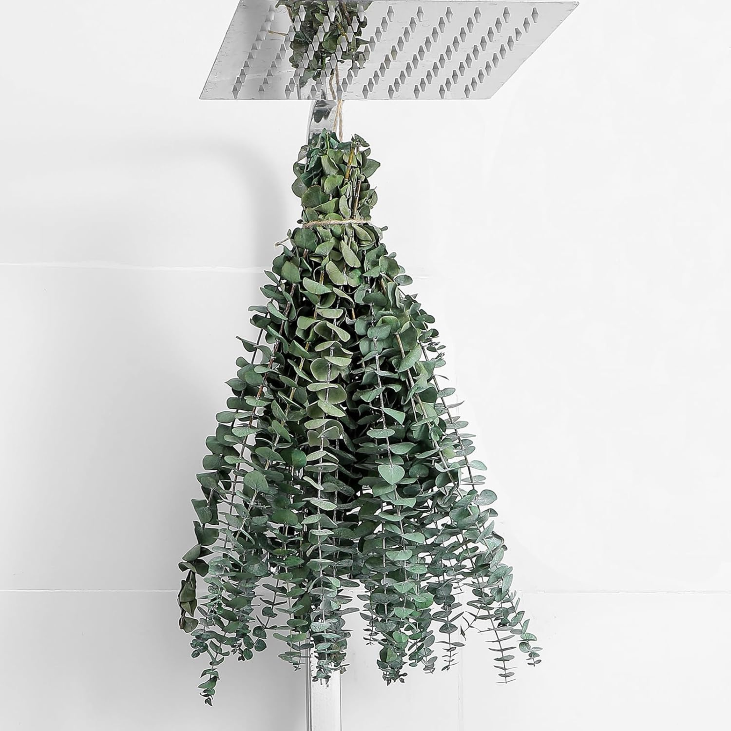 the favowreath eucalyptus stems