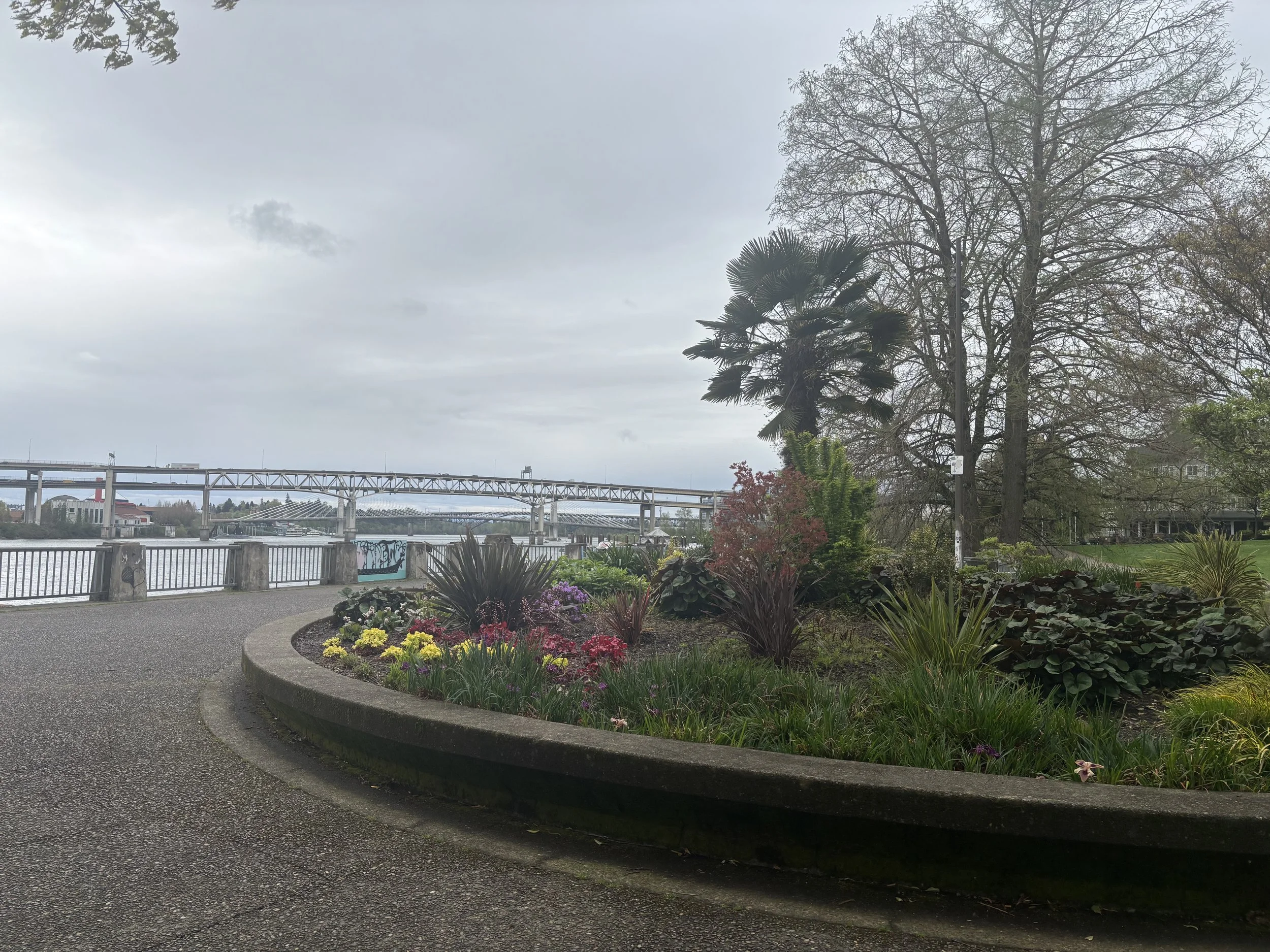A riverfront park with a flower bed, trees, a bridge over water, and suburban houses in the background under a cloudy sky.