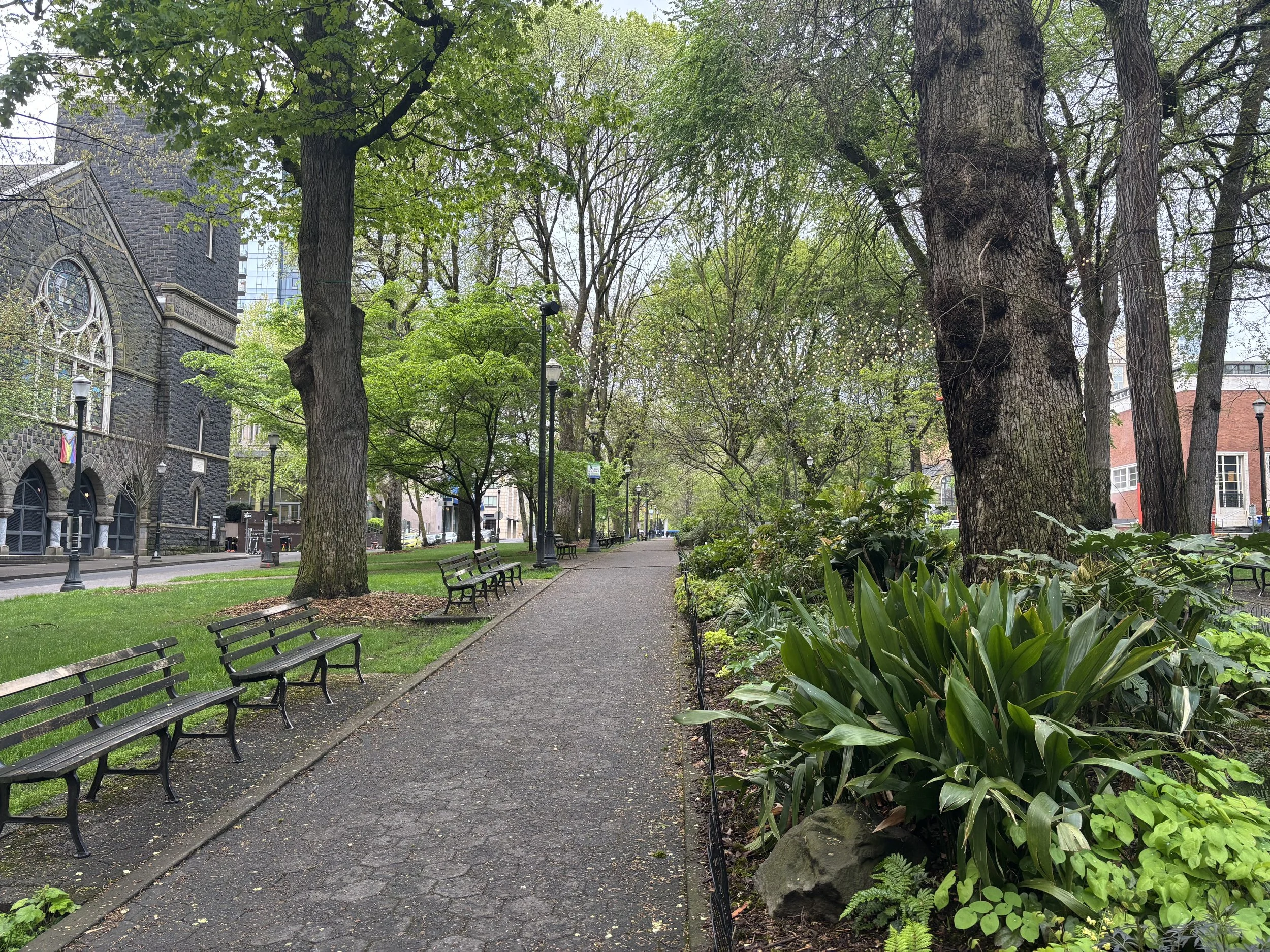 A peaceful park scene with a paved walkway, surrounded by green foliage, tall trees, black benches, and street lamps, with buildings in the background.
