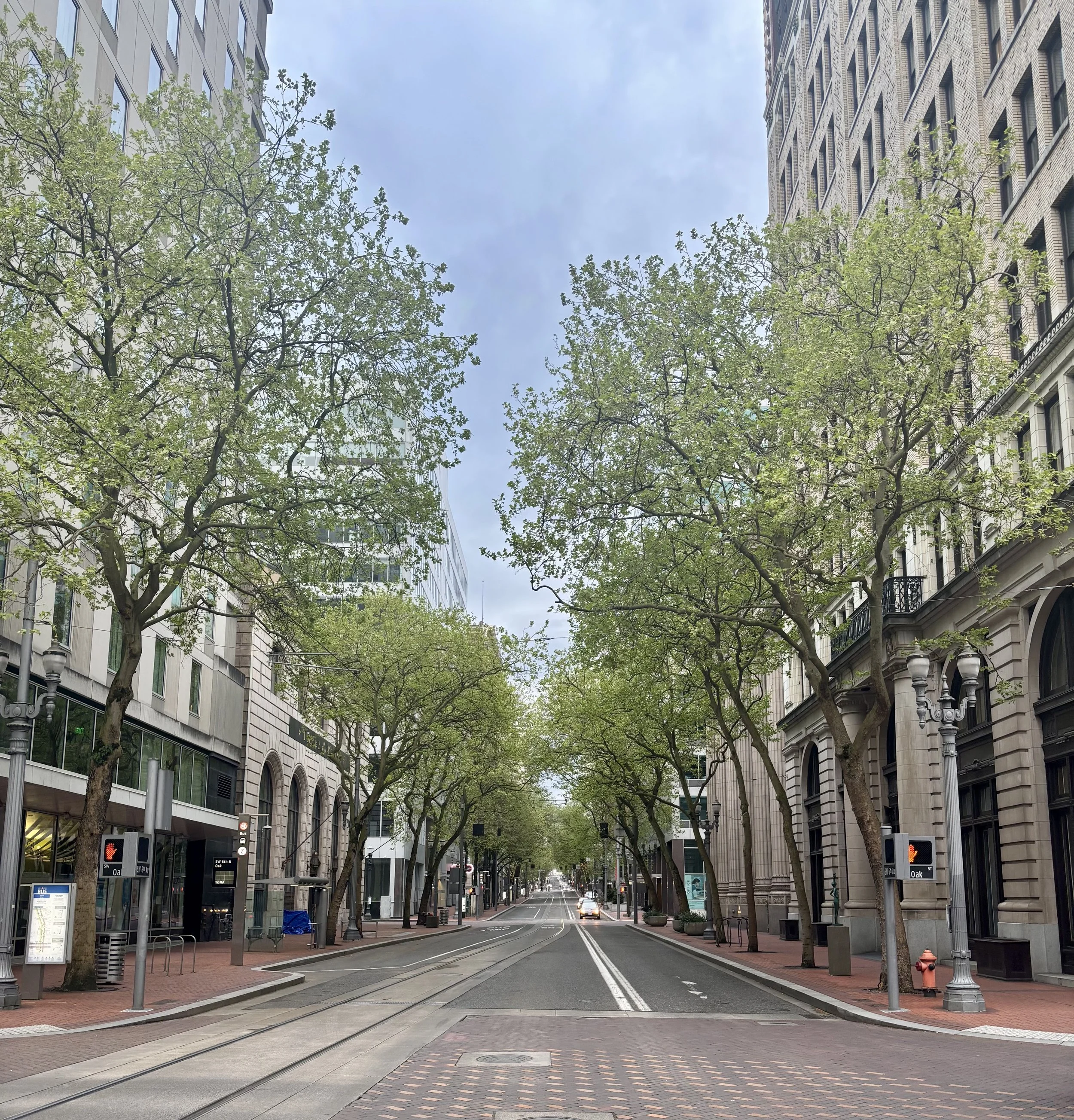 Empty city street lined with trees and multi-story buildings on both sides, with tram tracks and traffic lights, in the daytime with a partly cloudy sky.