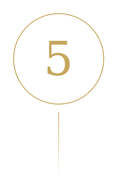 Number five inside a circle with a gold outline, on a black background.