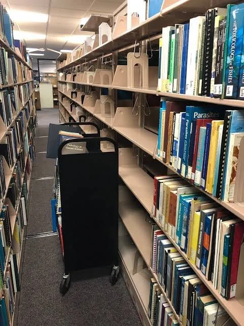 Partially empty library shelf with a black cart filled with books selected (dispositioned) for either digitization, donation, temporary or permanent storage.