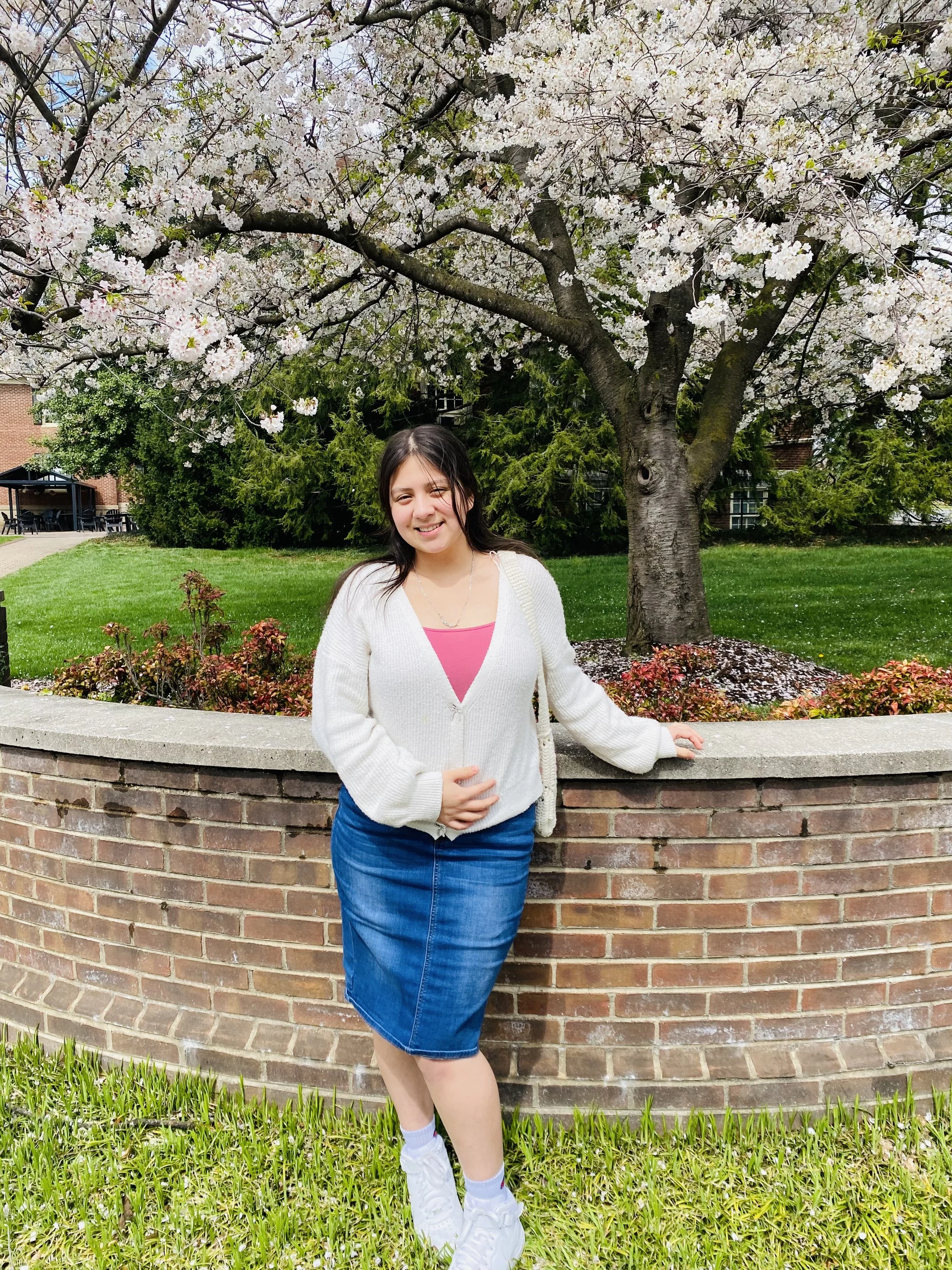 A young woman wearing a white cardigan, pink top, denim skirt, white sneakers, and socks standing in front of a brick wall with a garden, a sidewalk, and cherry blossom tree in bloom.