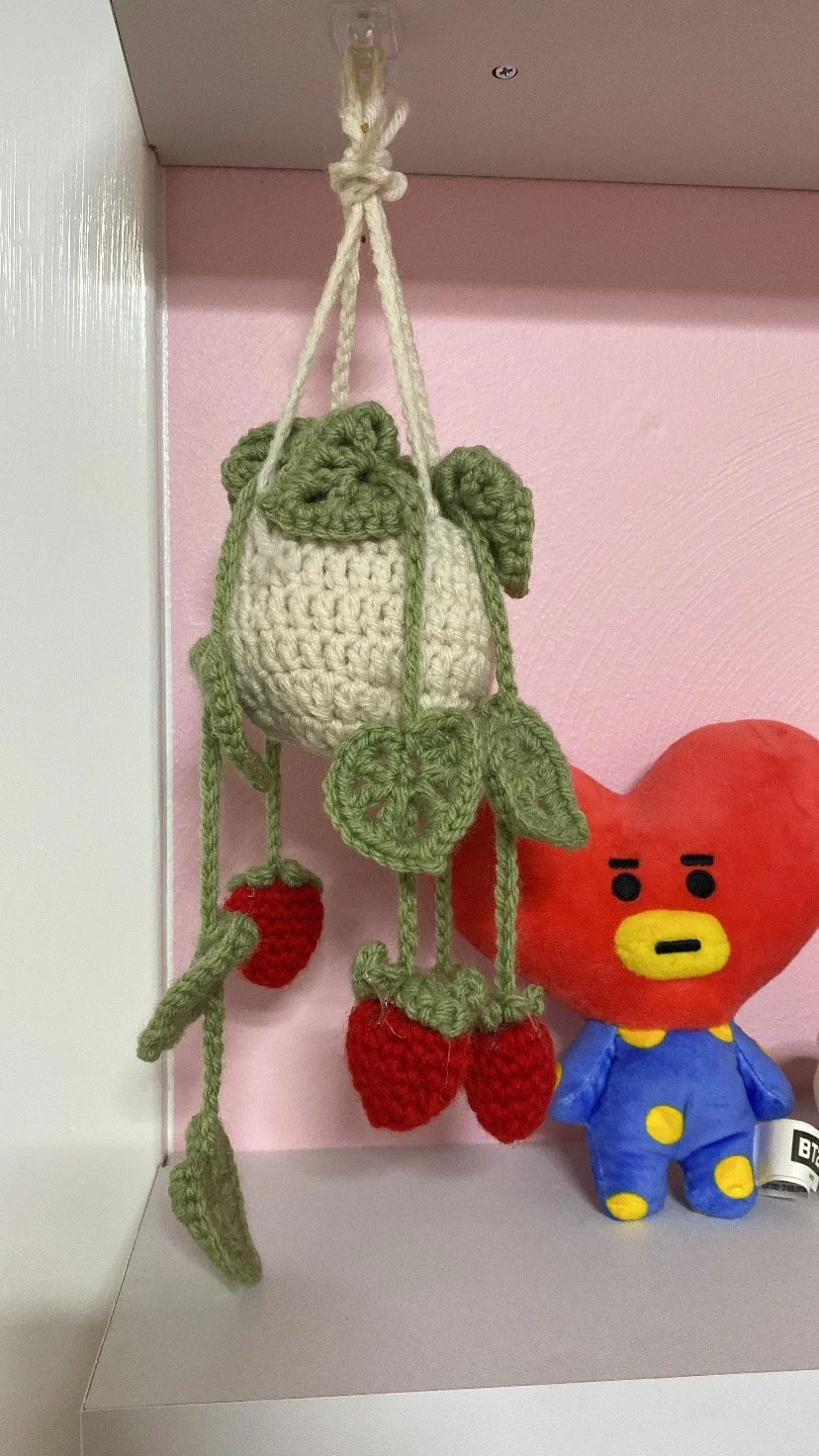 Hanging Plant Car Decor w/ Crocheted Charms