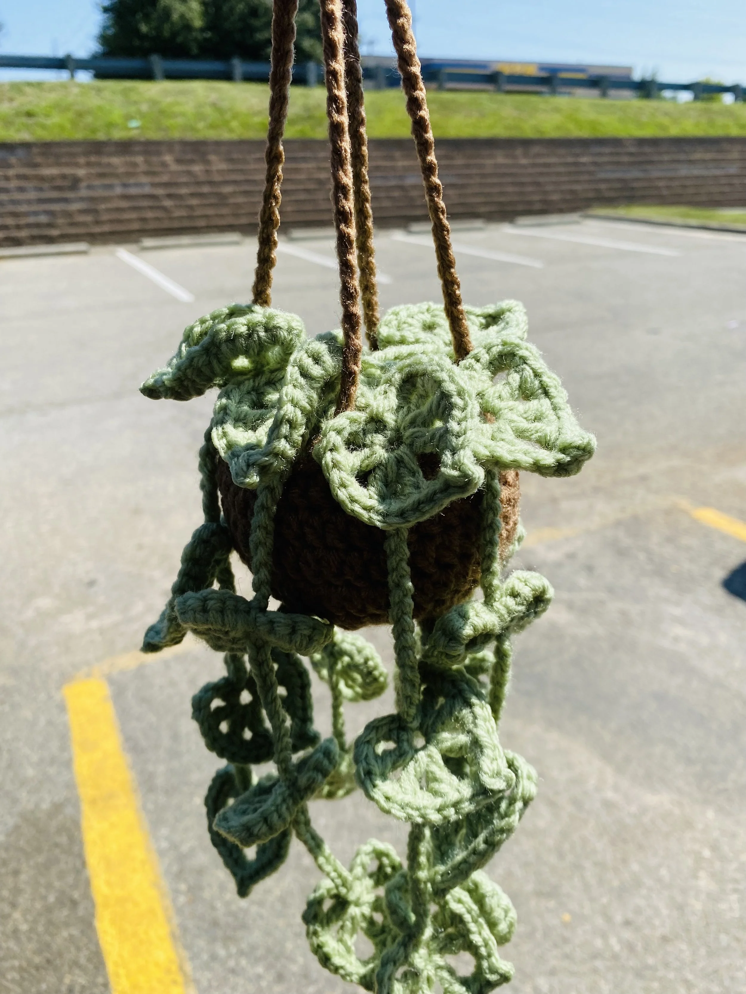 Hanging Plant Car Decor