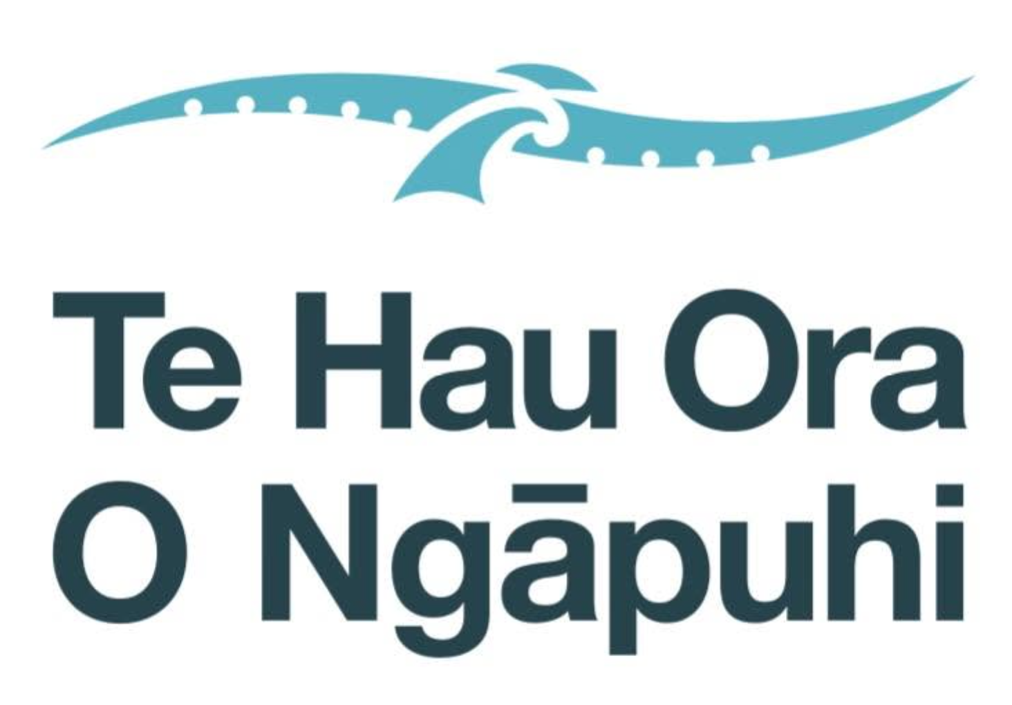 Logo with stylised blue graphic element and text 'Te Hau Ora O Ngāpuhi'.